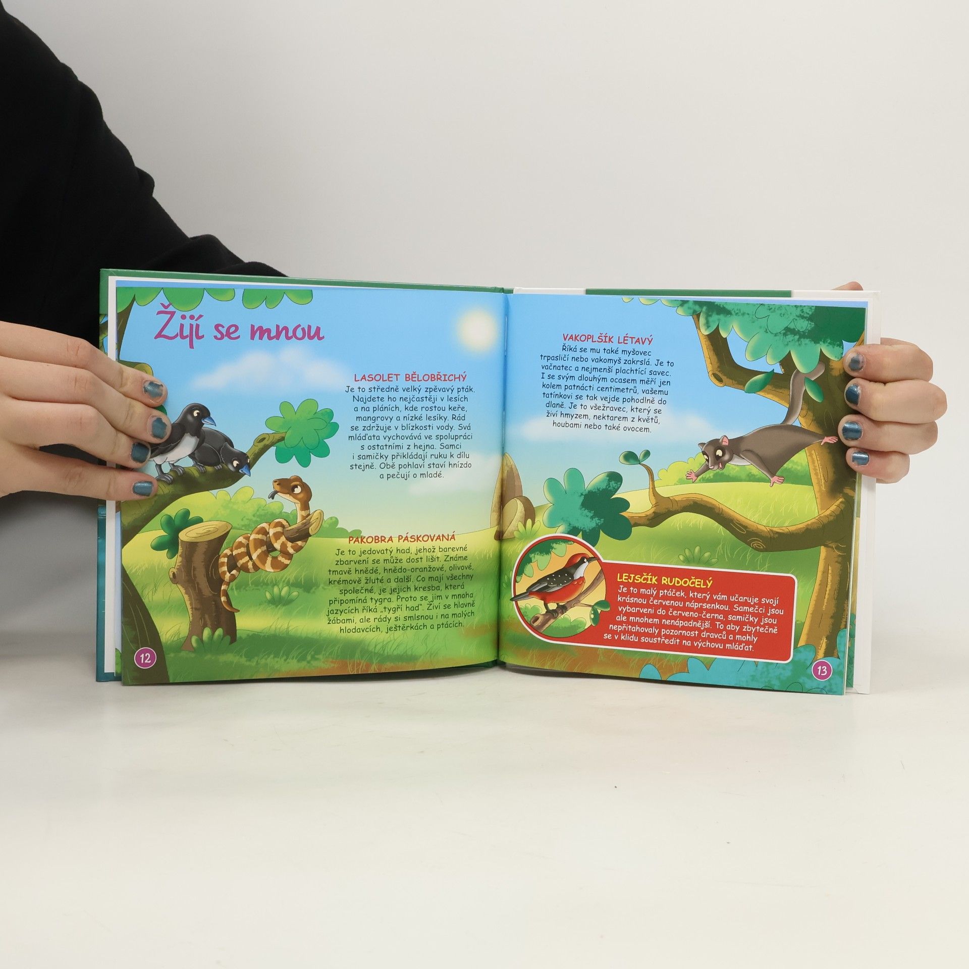 Autores varios Bydlím v lese 58. Kaloň australský