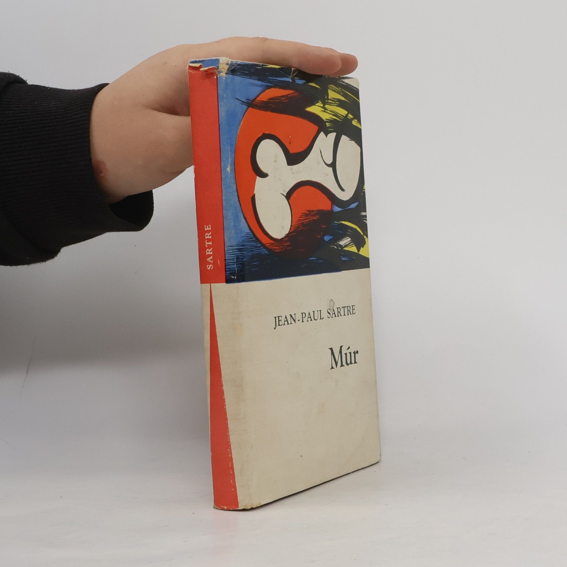 Jean-Paul Sartre Múr