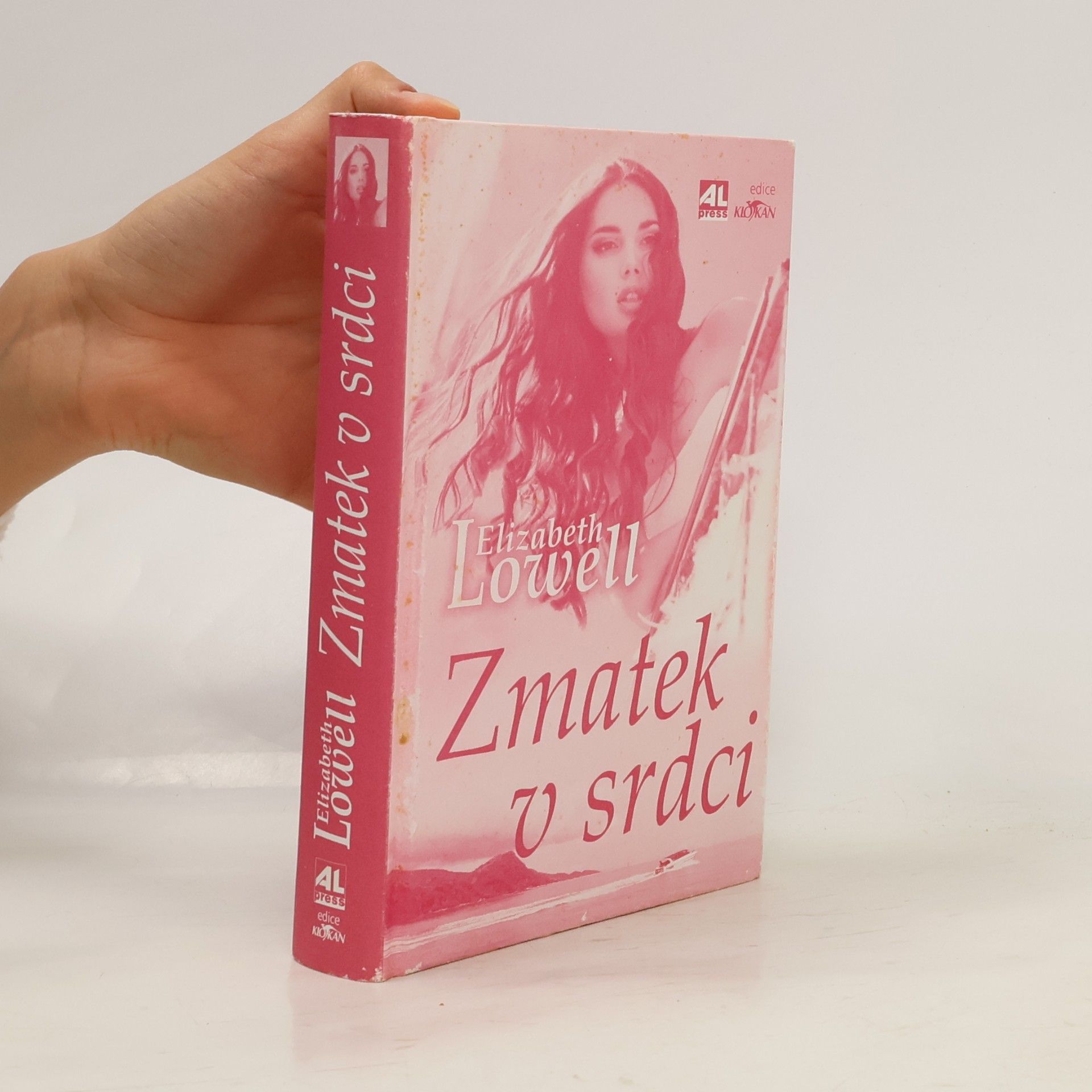 Elizabeth Lowell Zmatek v srdci