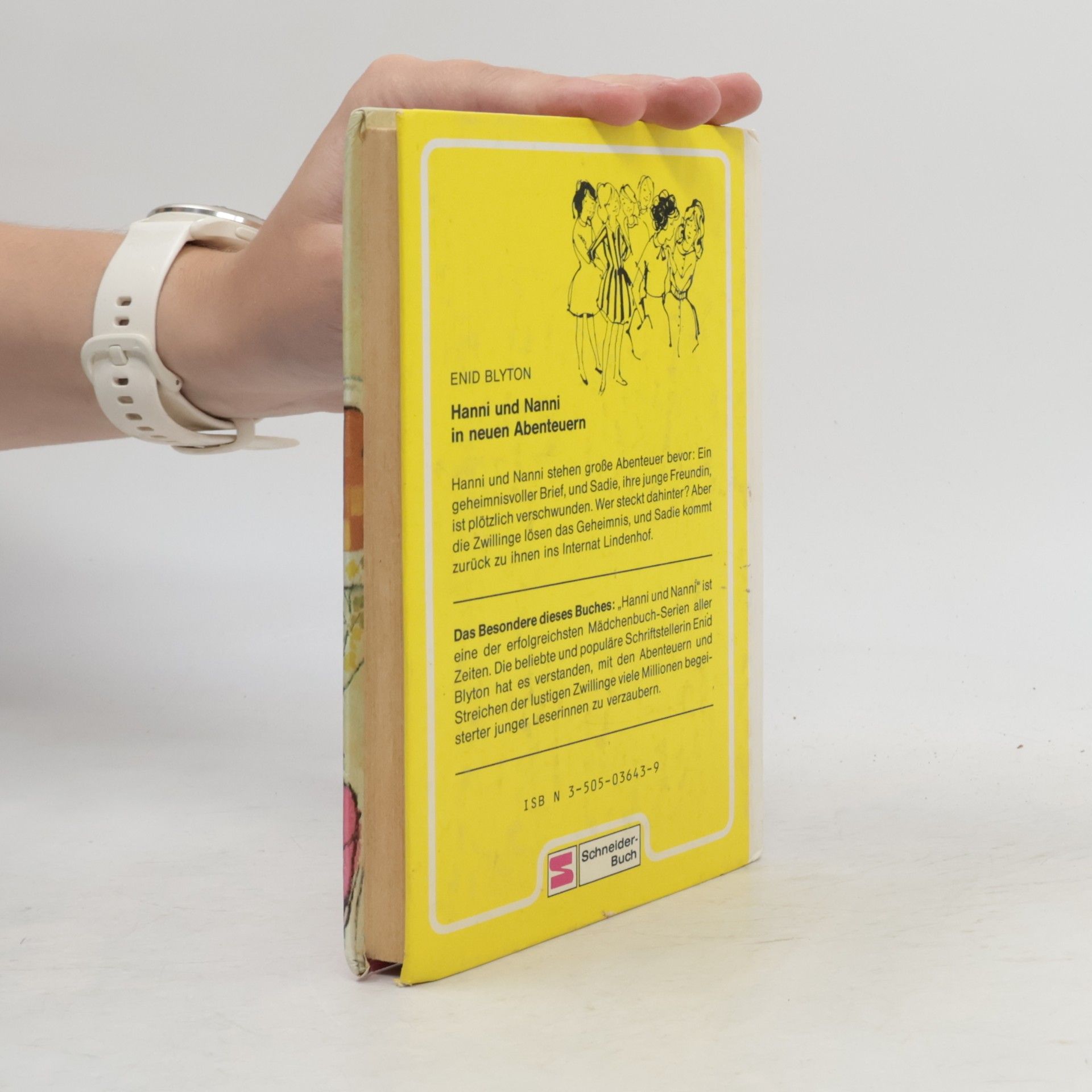Enid Blyton Hanni und Nanni in neuen Abenteuern