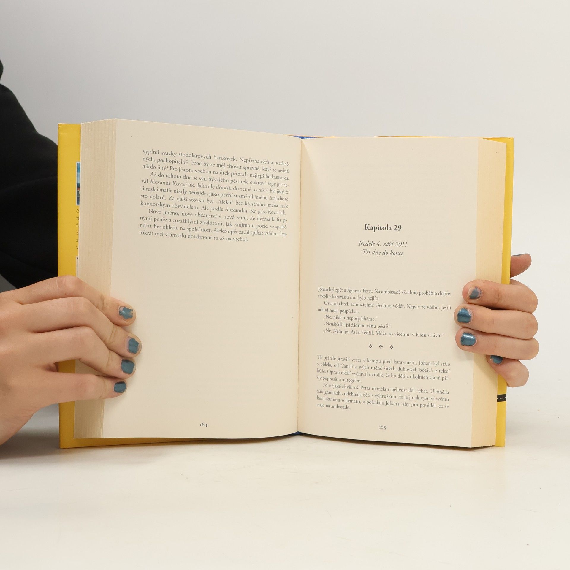 Jonas Jonasson Prorokyně a hlupák