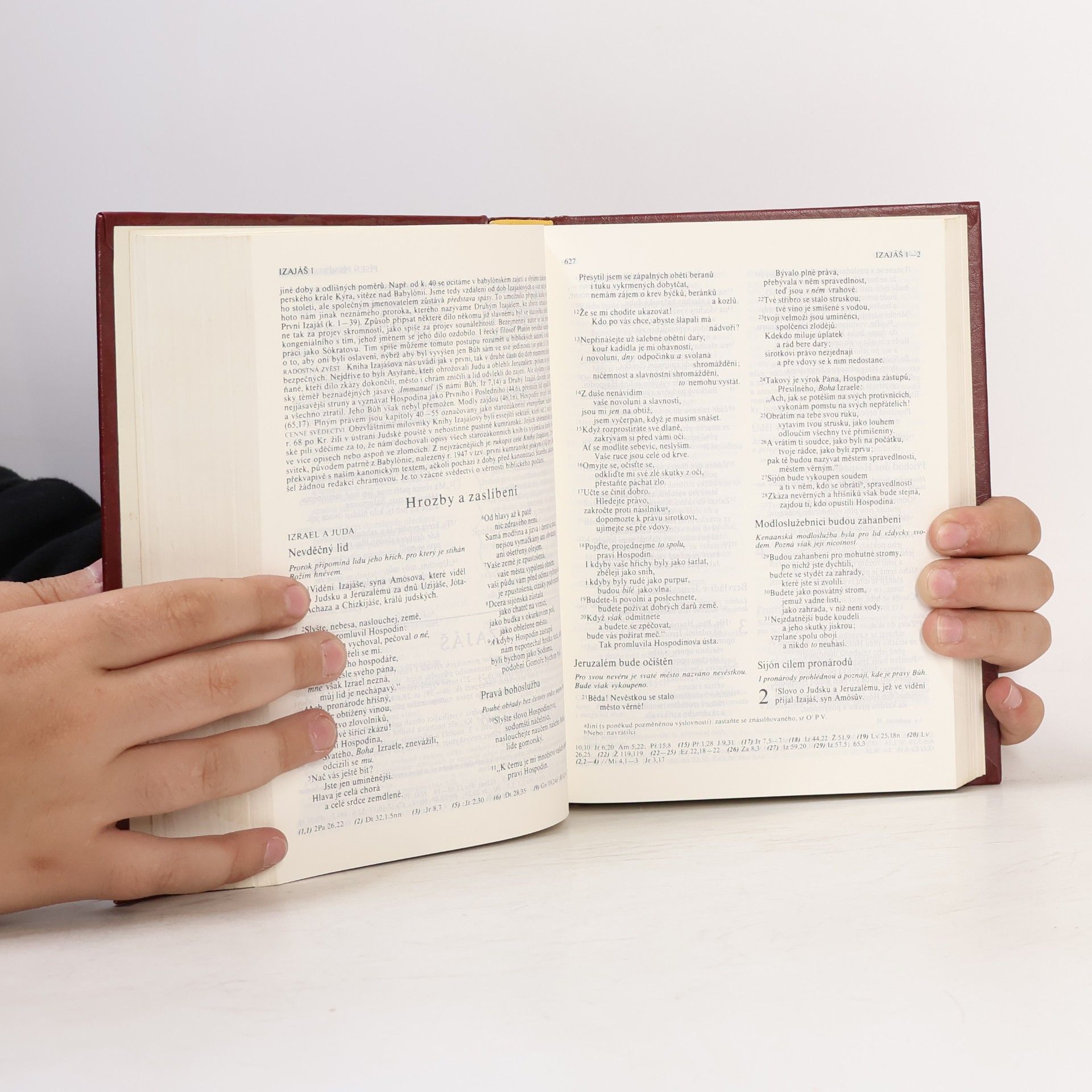 kolektiv Bible