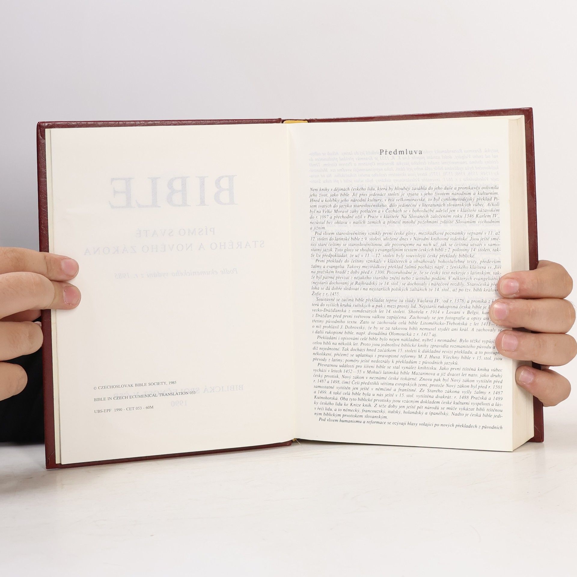 kolektiv Bible