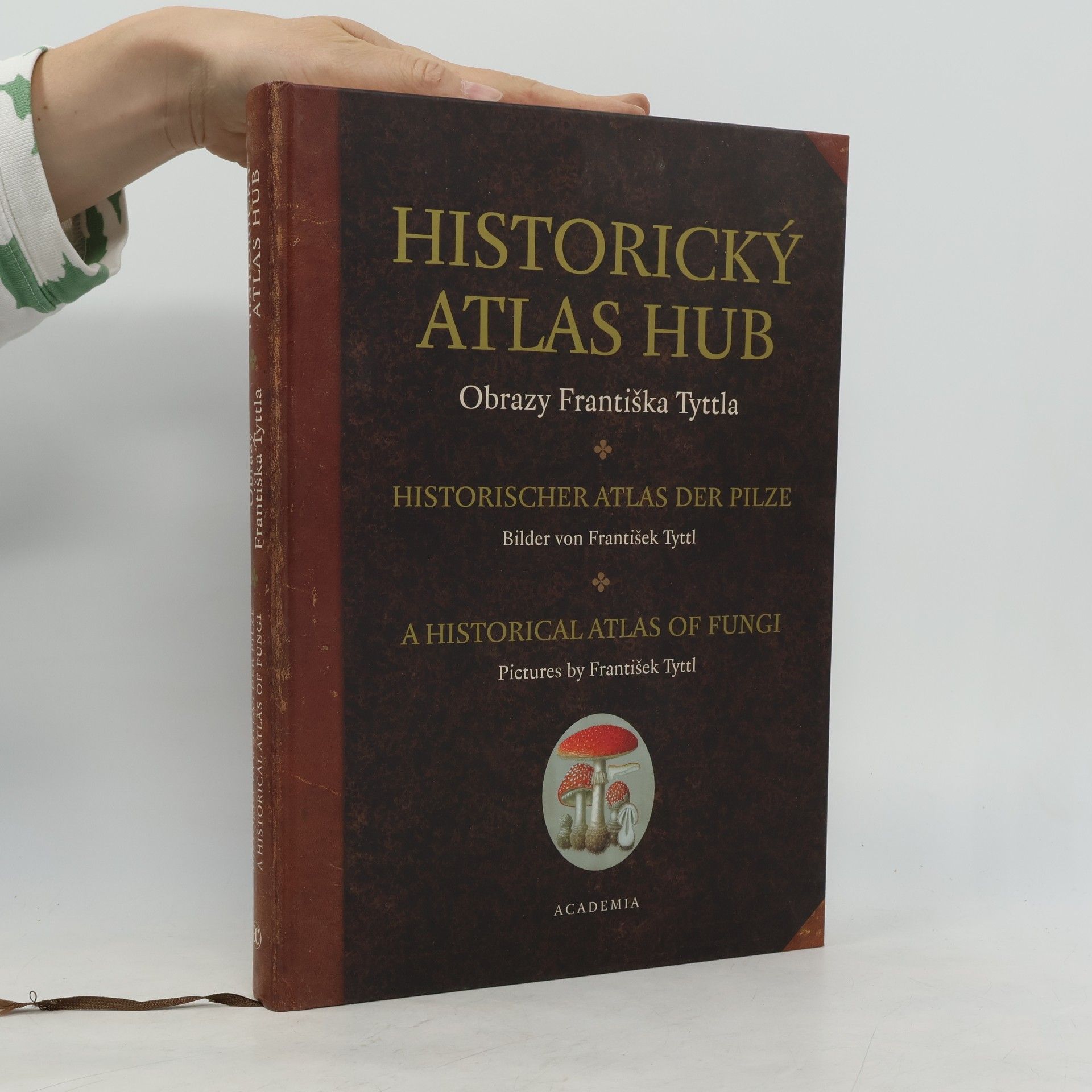 Jaroslava Nesvadbová Historický atlas hub - Obrazy Františka Tyttla