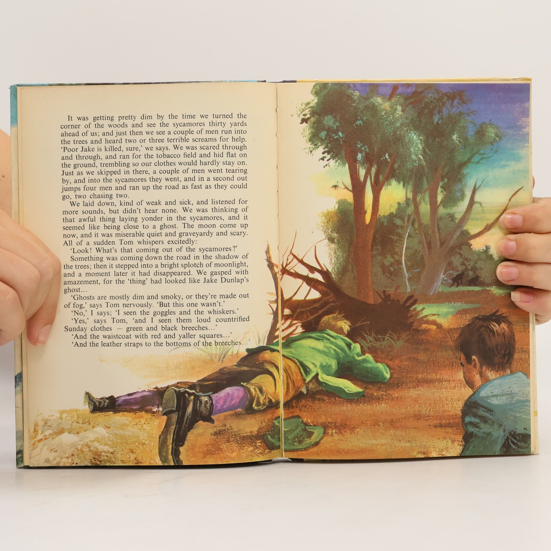 Mark Twain Tom Sawyer Detective