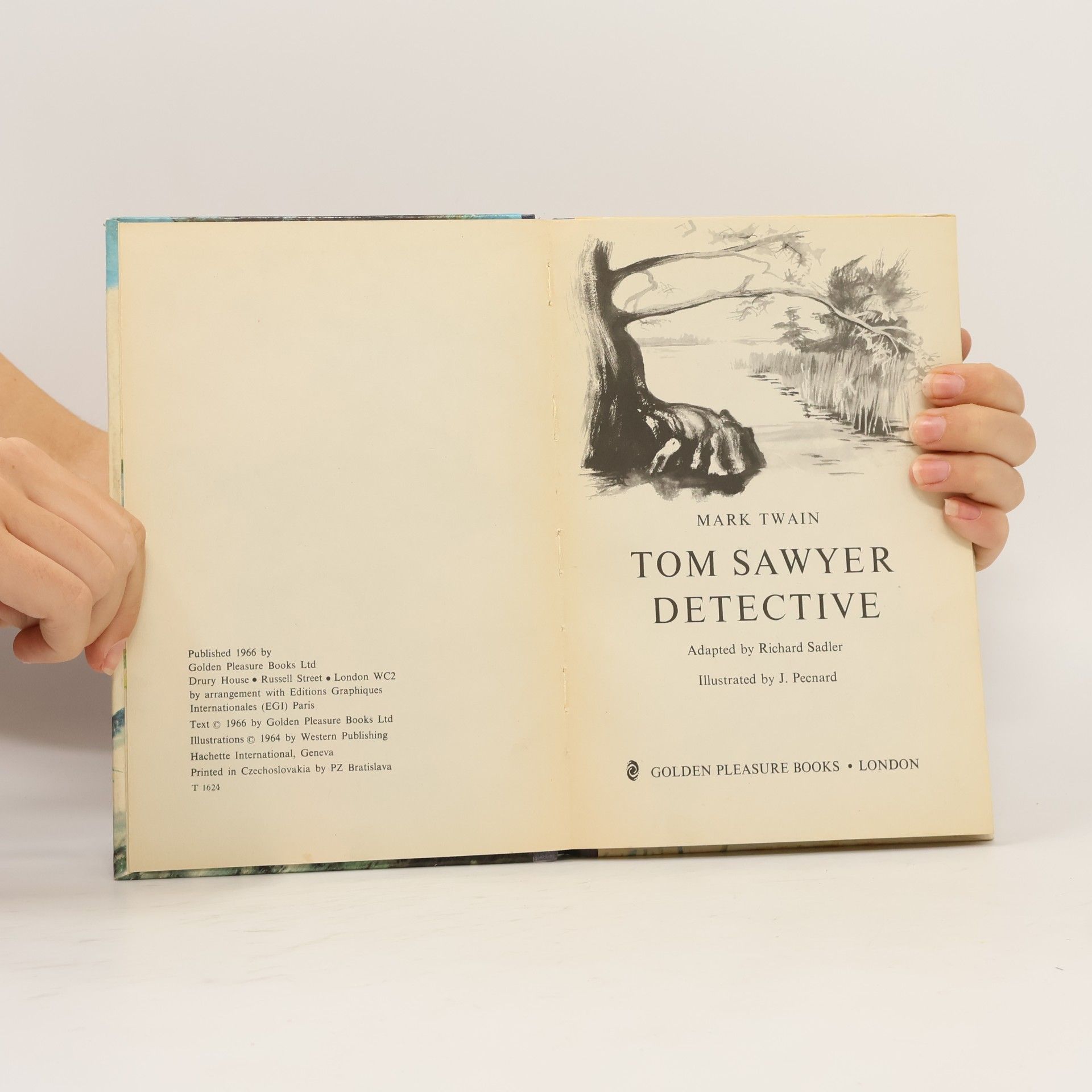 Mark Twain Tom Sawyer Detective