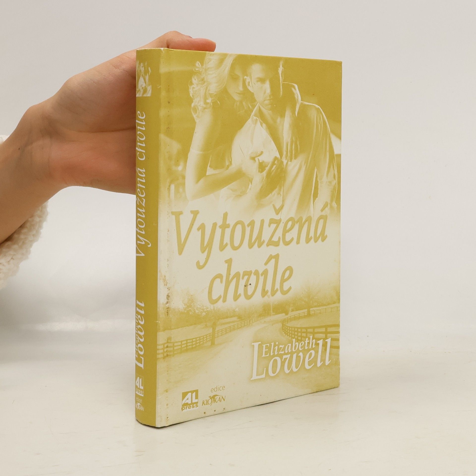 Elizabeth Lowell Vytoužená chvíle