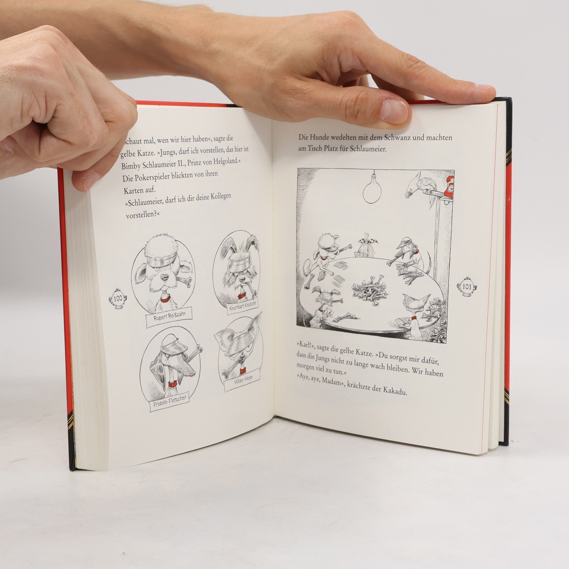 Chris Riddell Ottoline und die gelbe Katze