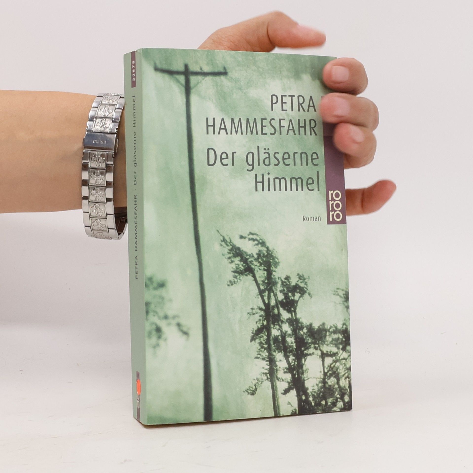 Petra Hammesfahr Der gläserne Himmel
