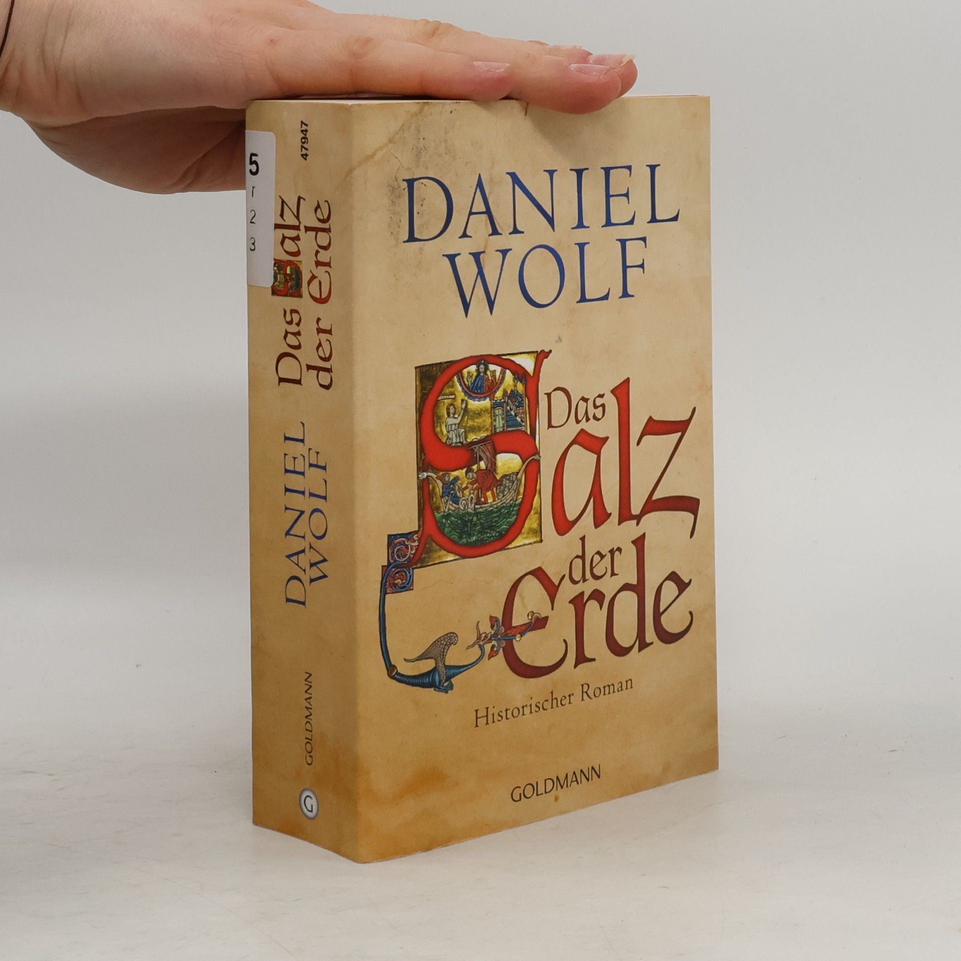 Daniel Wolf Das Salz der Erde : historischer Roman