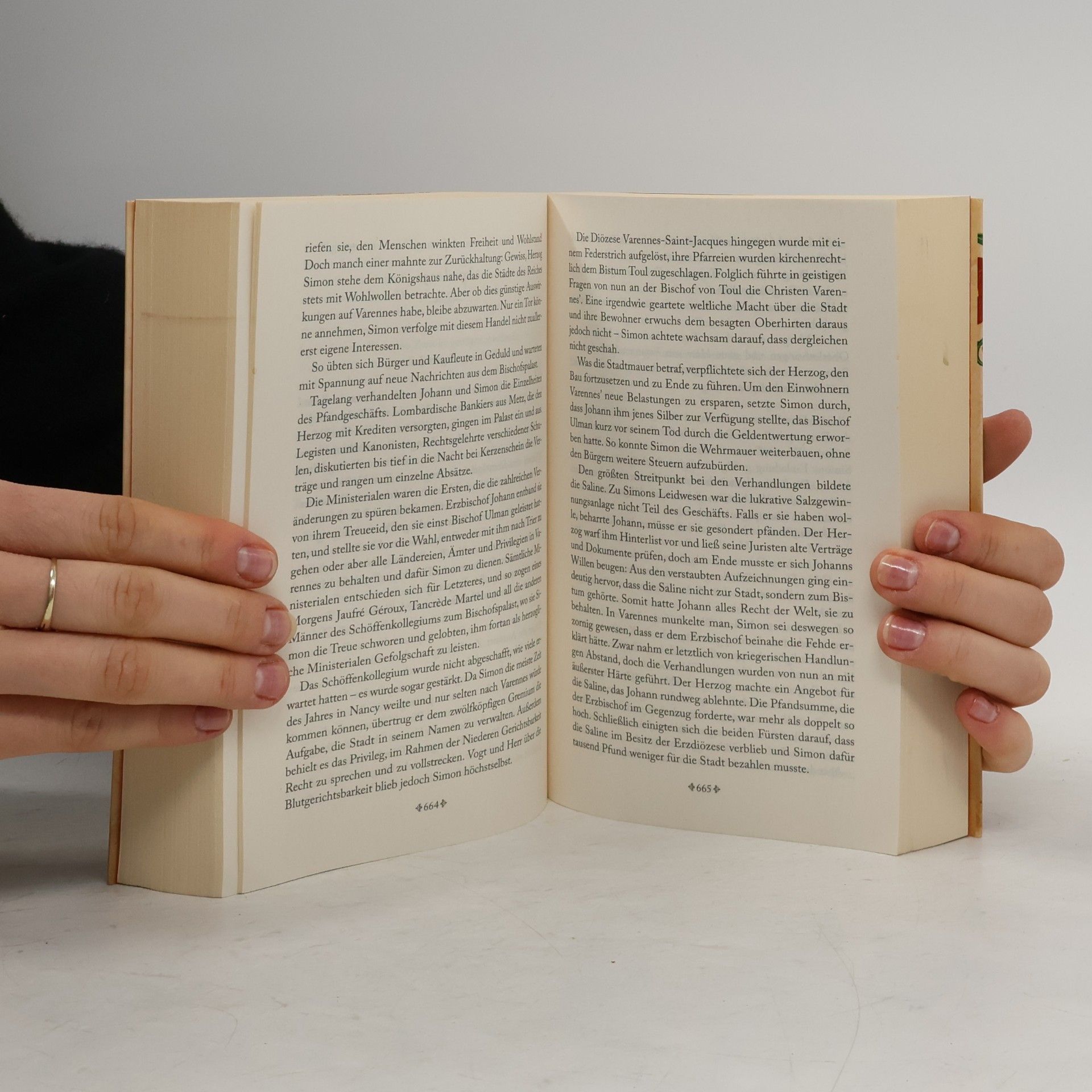 Daniel Wolf Das Salz der Erde : historischer Roman