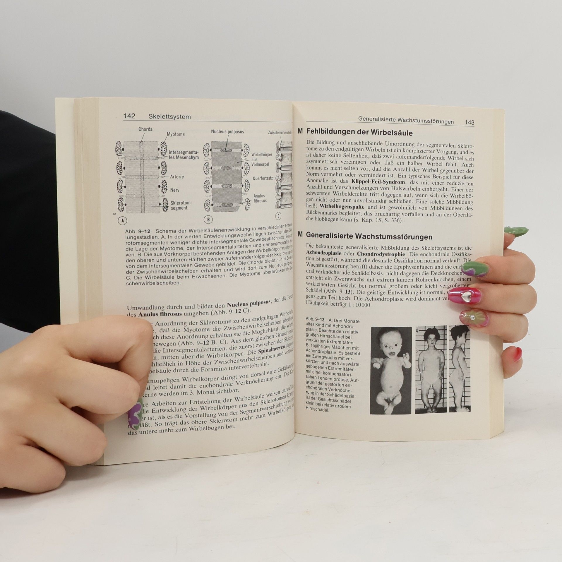 Jan Langman Medizinische Embryologie