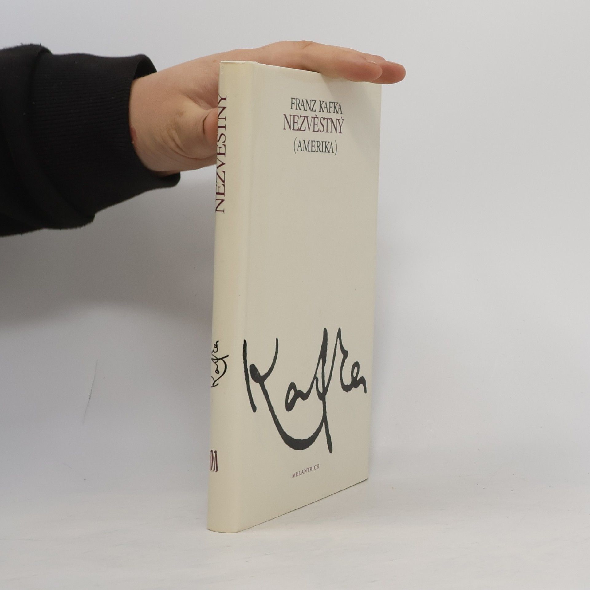 Franz Kafka Nezvěstný (Amerika)