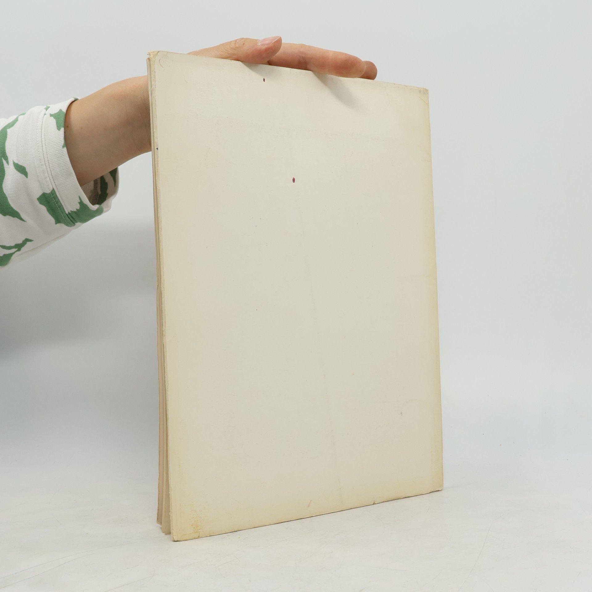 Autores varios Farbige Gemäldewiedergaben André Fougeron