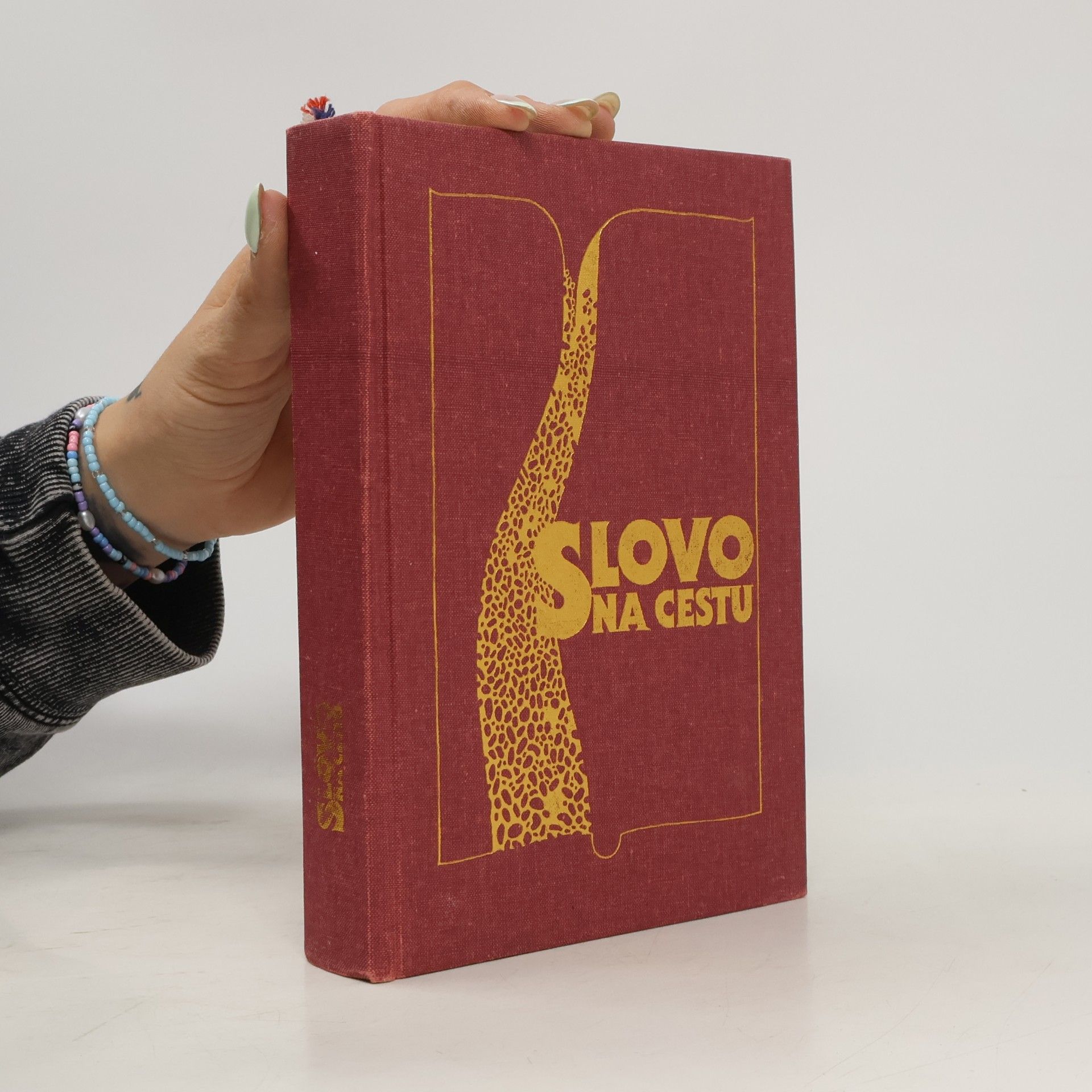 Jan Bárta Slovo na cestu. Parafrázovaný text Nového zákona