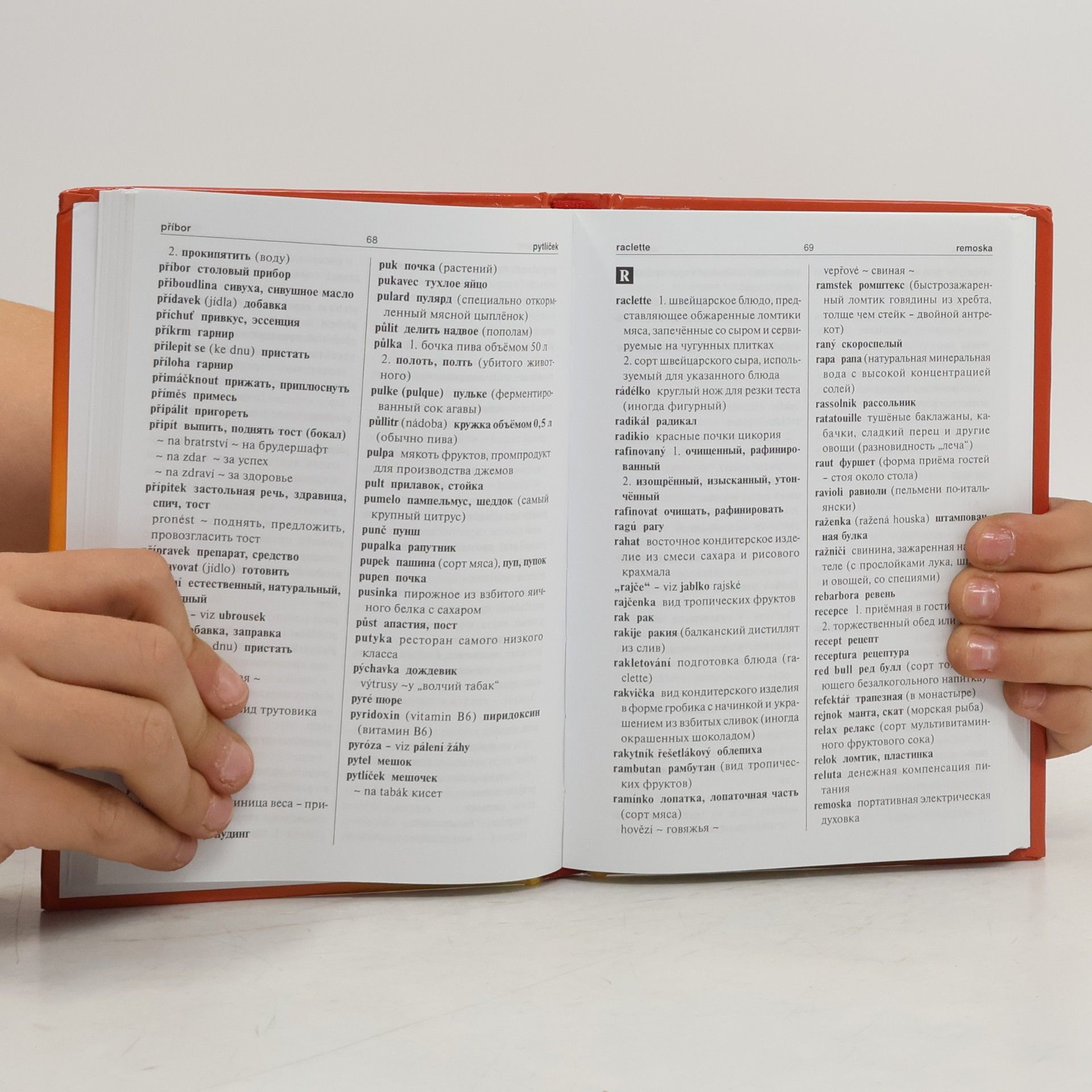 Libor Krejčiřík Gastronomicko-kulinářský slovník česko-ruský/rusko-český