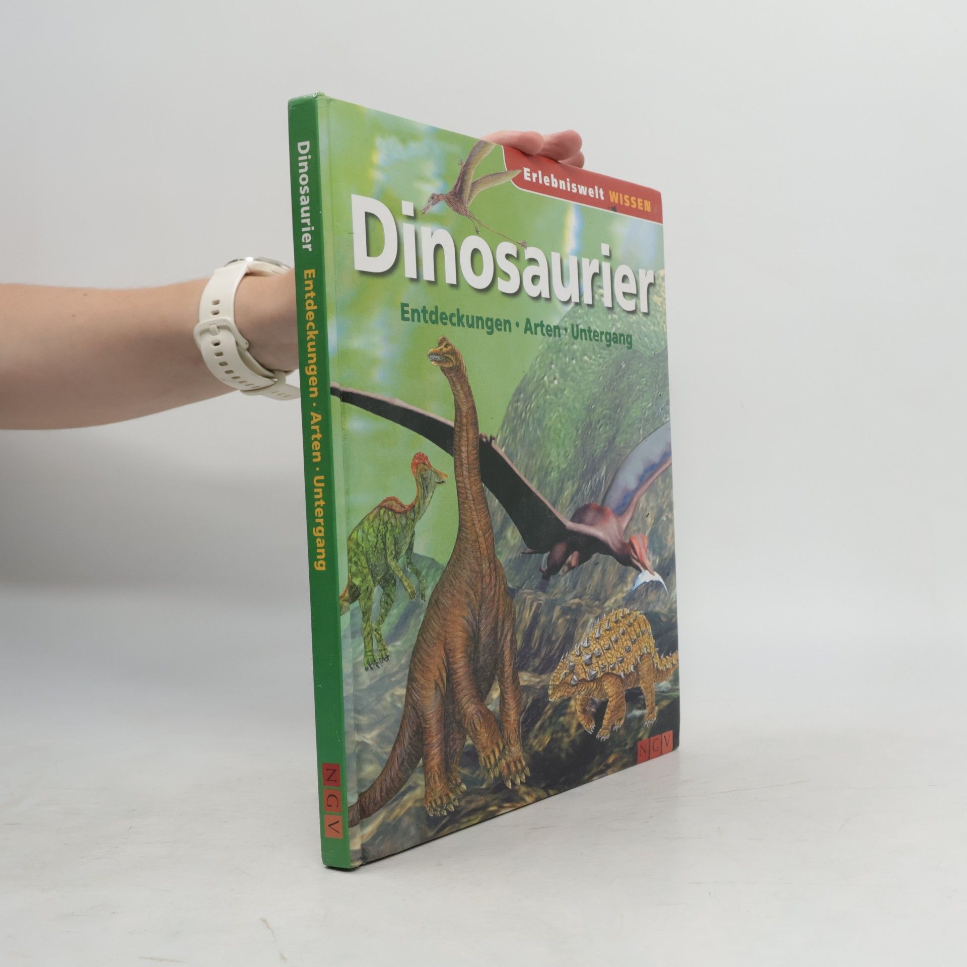 Autorenkollektiv Dinosaurier