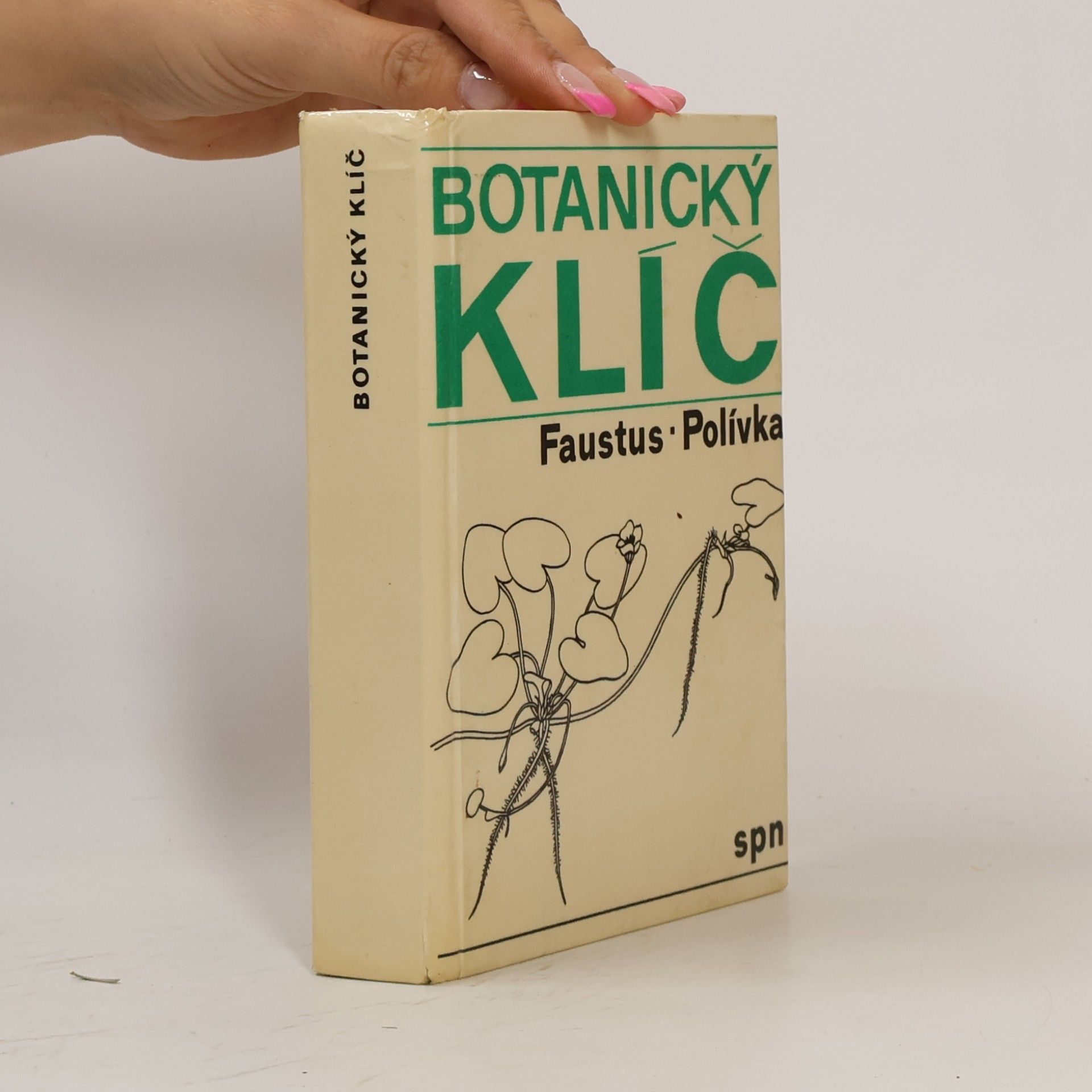Luděk Faustus Botanický klíč