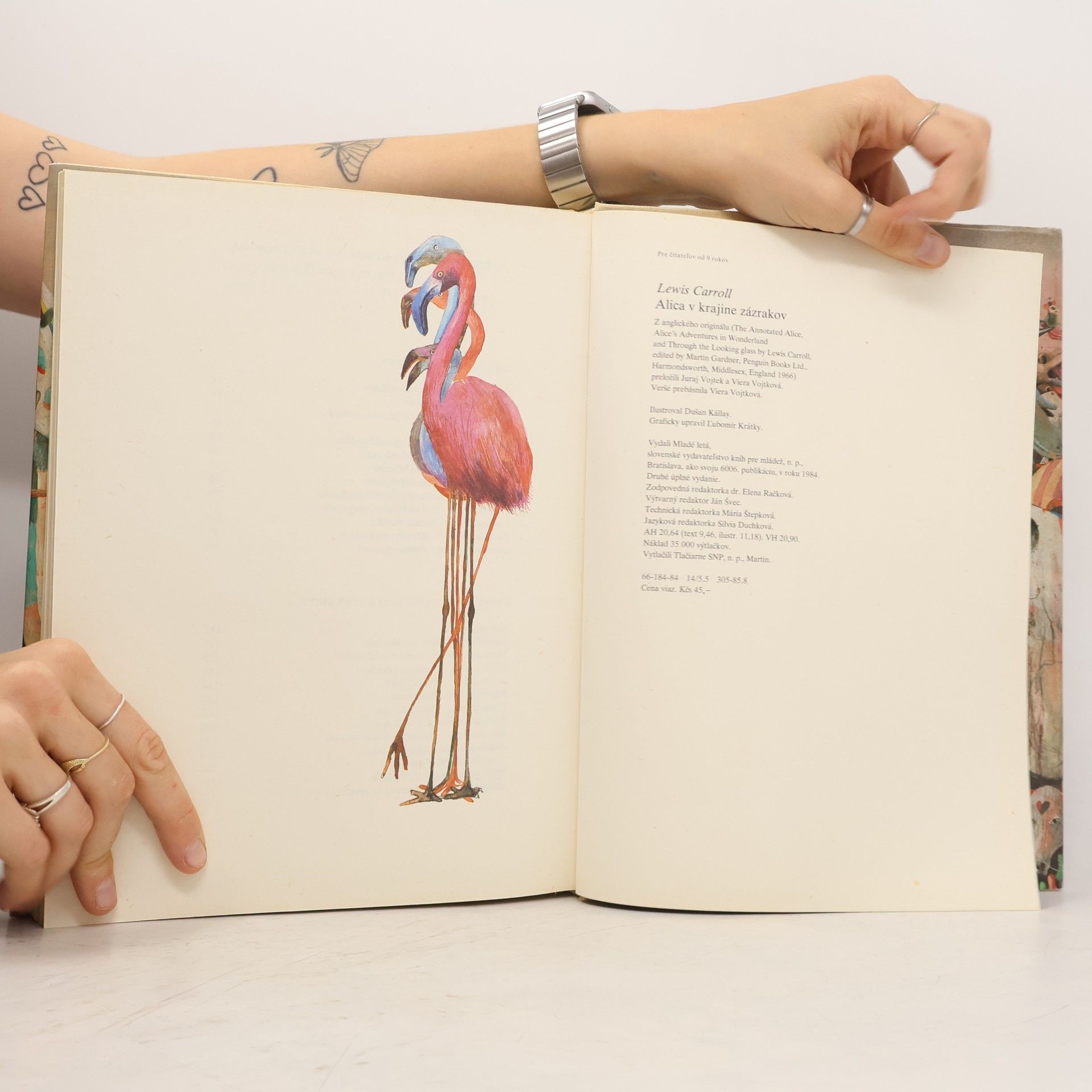 Lewis Carroll Alica v krajine zázrakov
