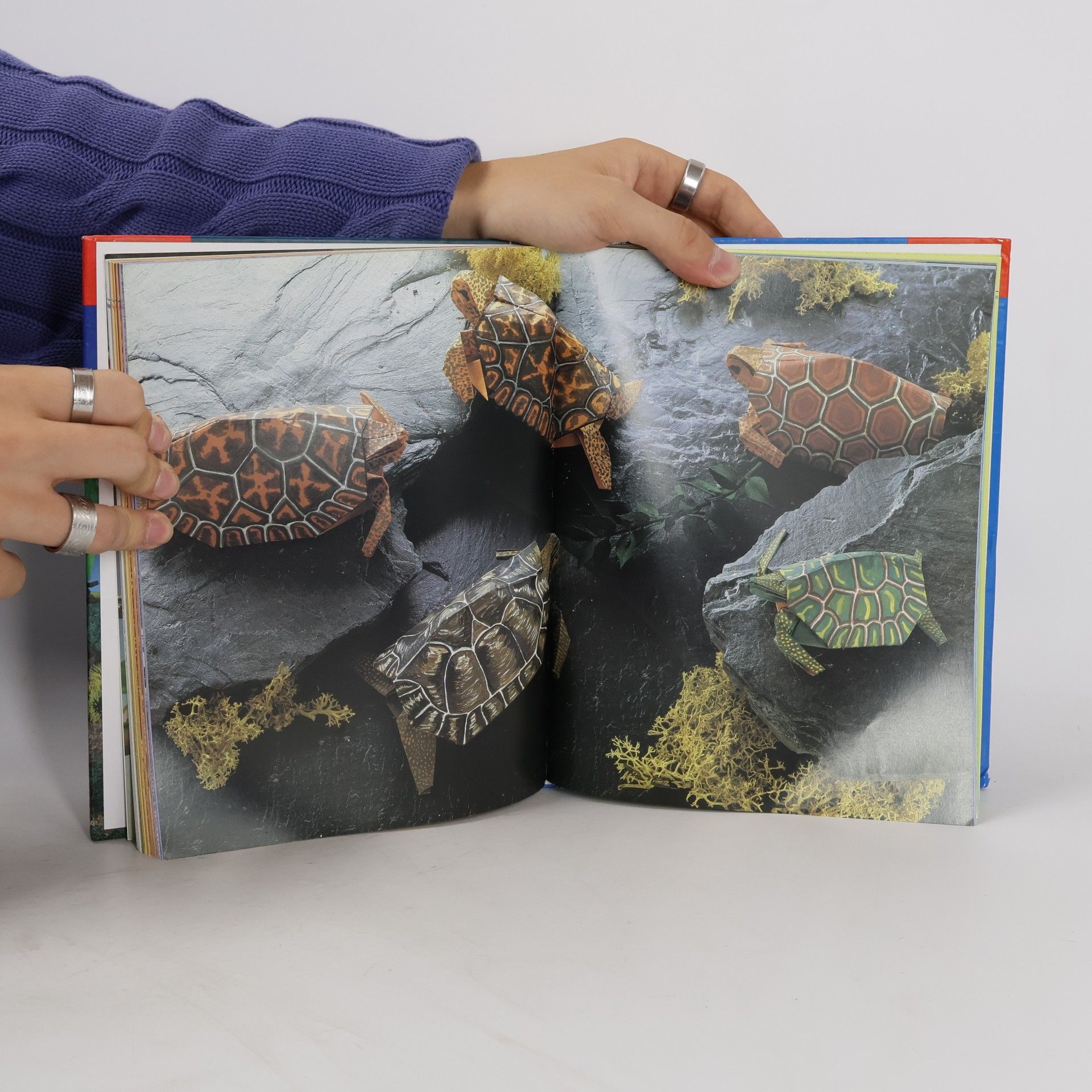 Héctor Rojas F Fascinující svět origami zvířátek