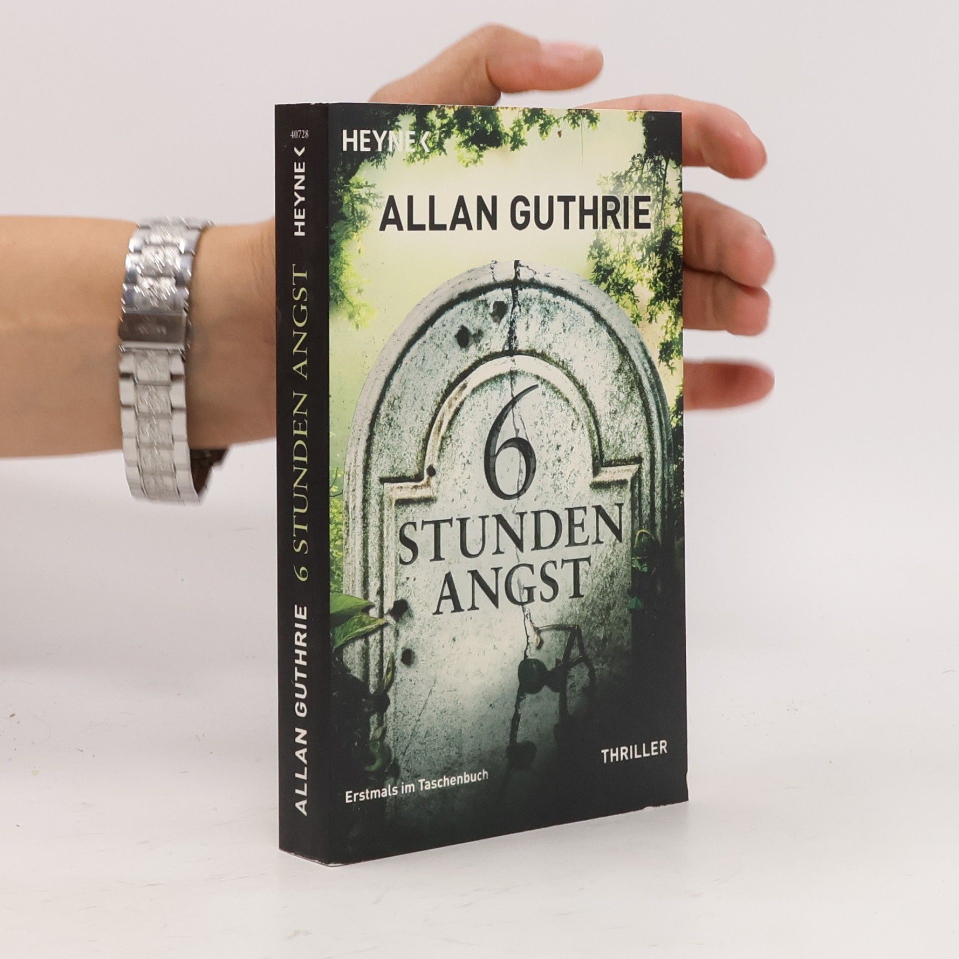 6 Stunden Angst. Roman