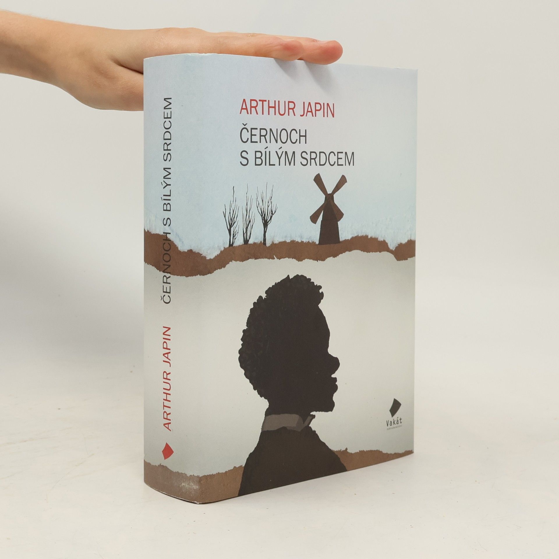Arthur Japin Černoch s bílým srdcem