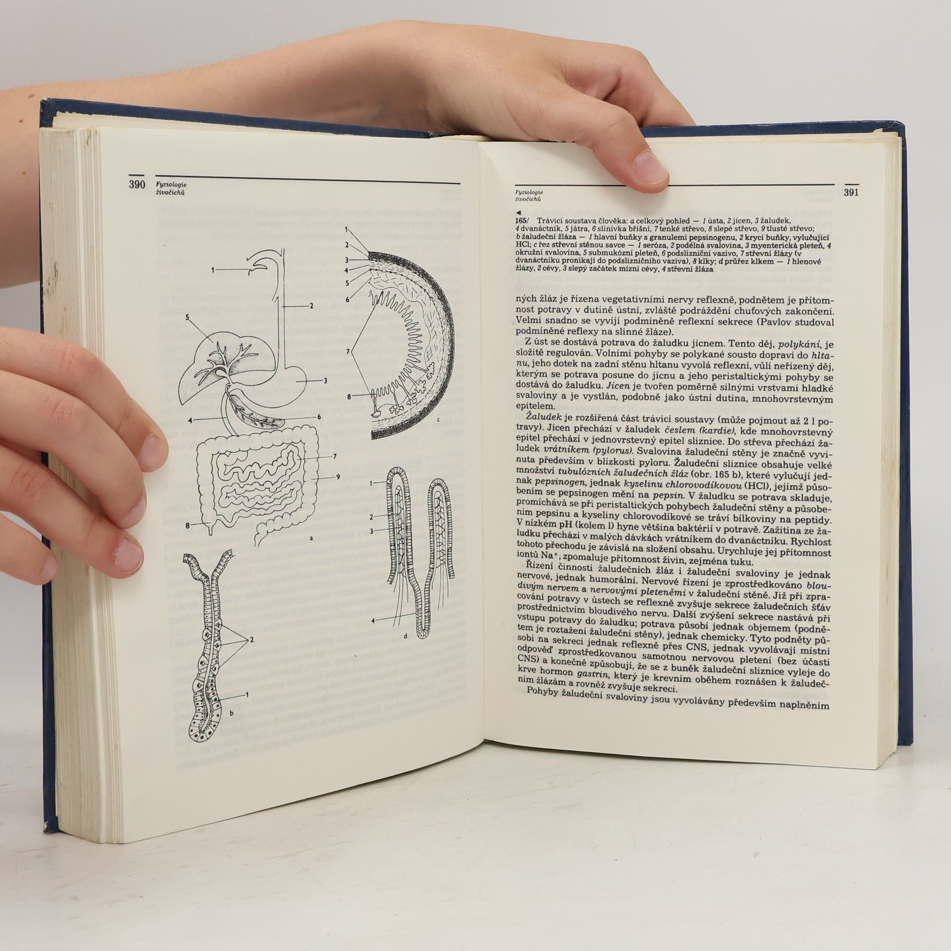 Various authors Obecná biologie