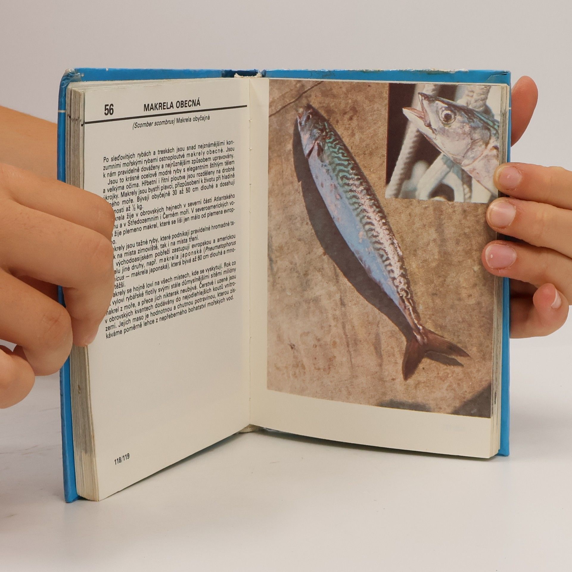 Otakar Štěpánek Kapesní atlas ryb, obojživelníků a plazů