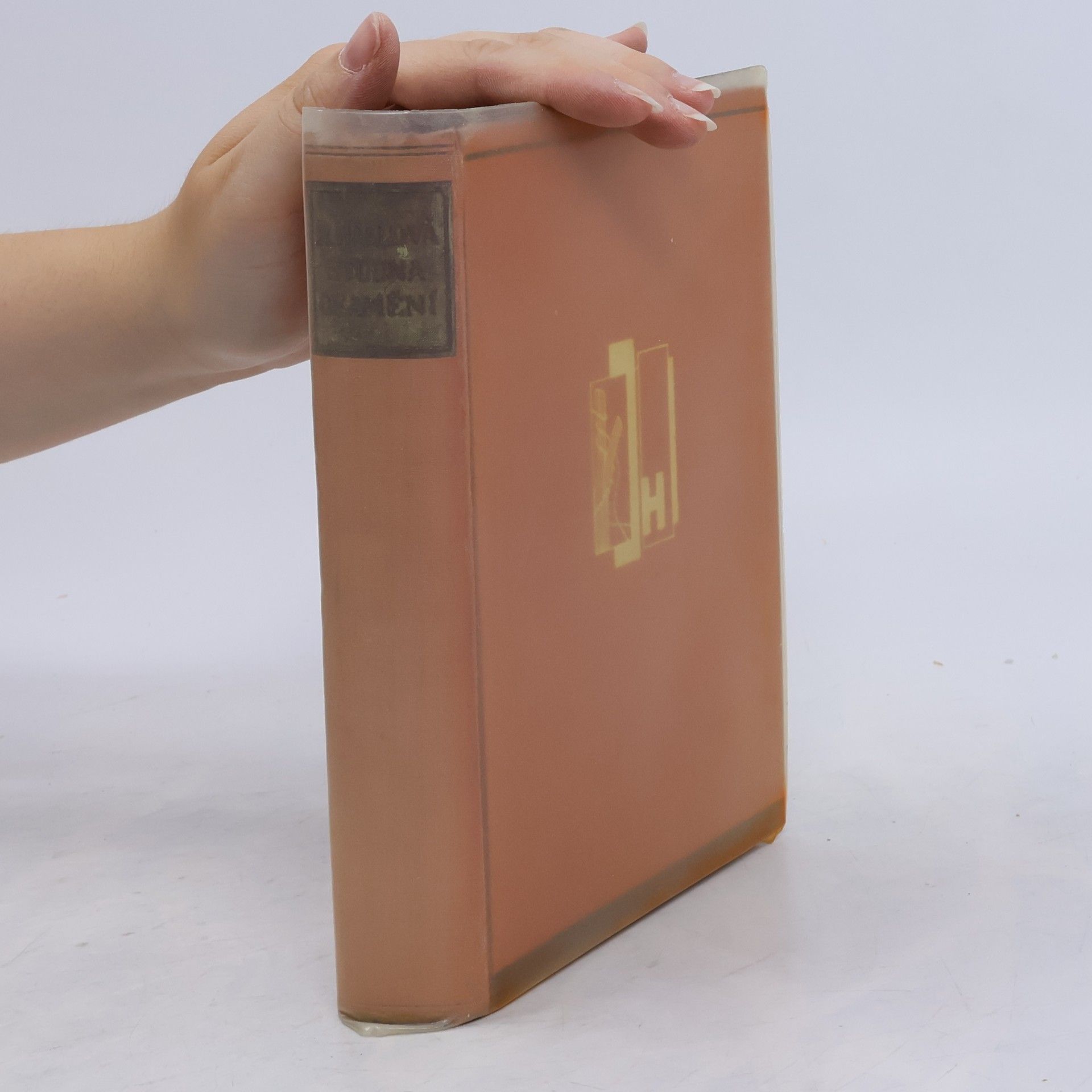 Radclyffe Hall Studna osamění