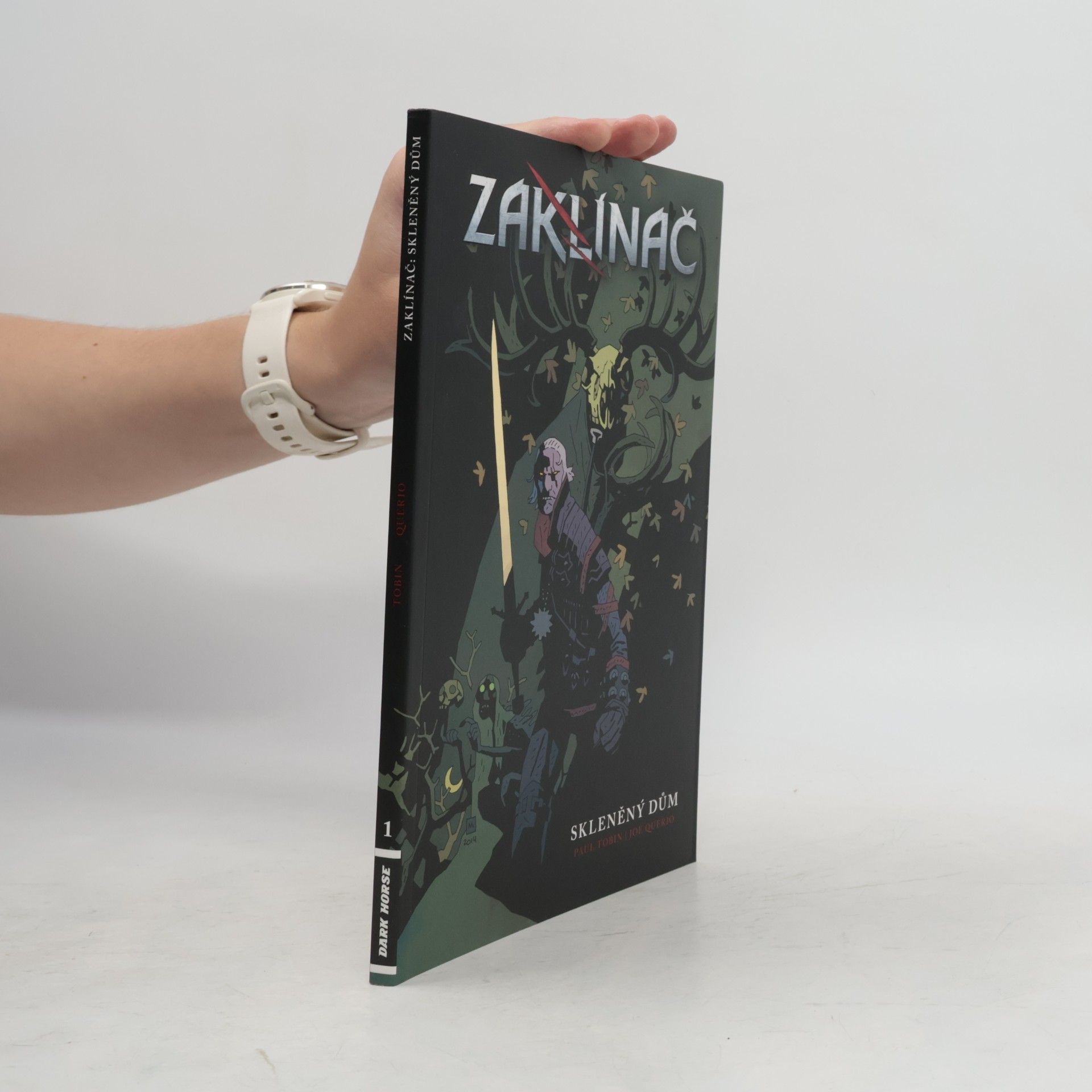 Paul Tobin Zaklínač. Skleněný dům 1