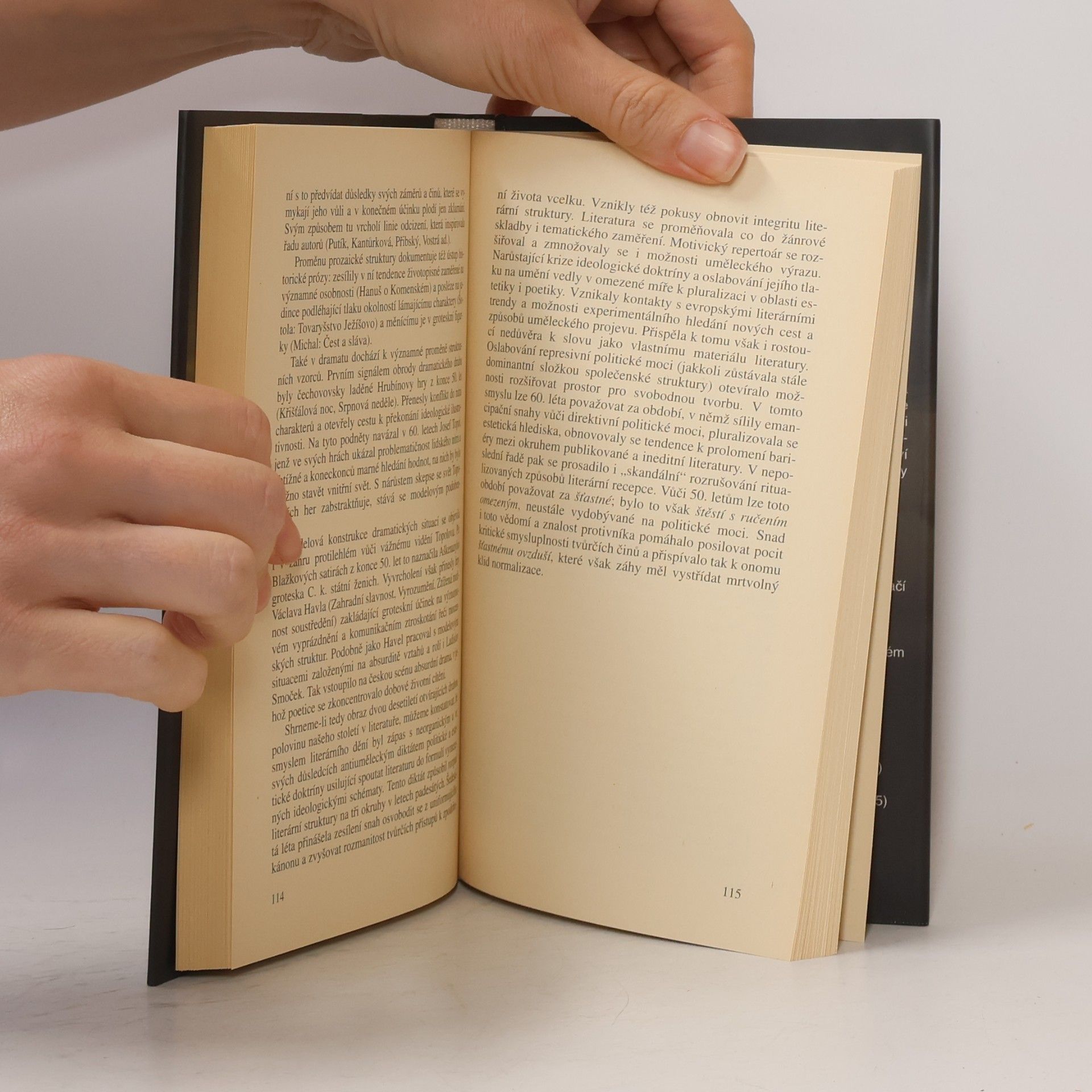 Aleš Haman Literatura v průsečíku pohledů