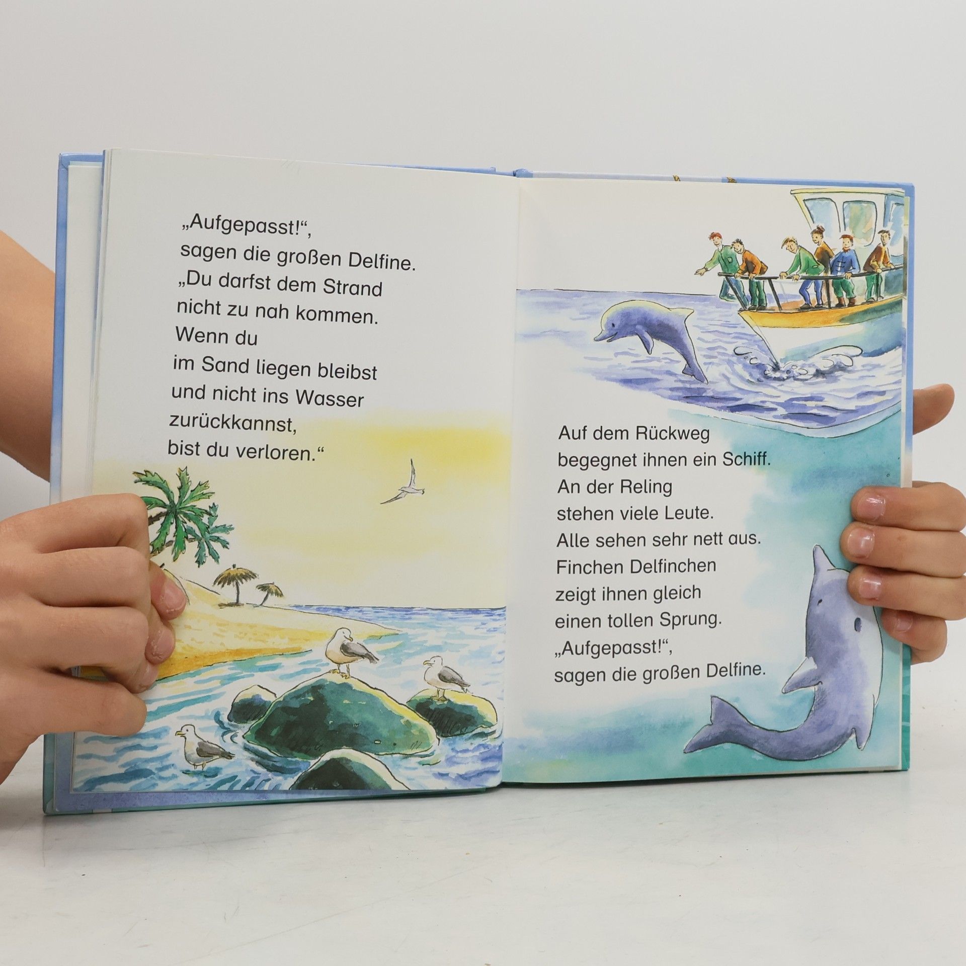 Ingrid Uebe Ein Delfin in Seenot