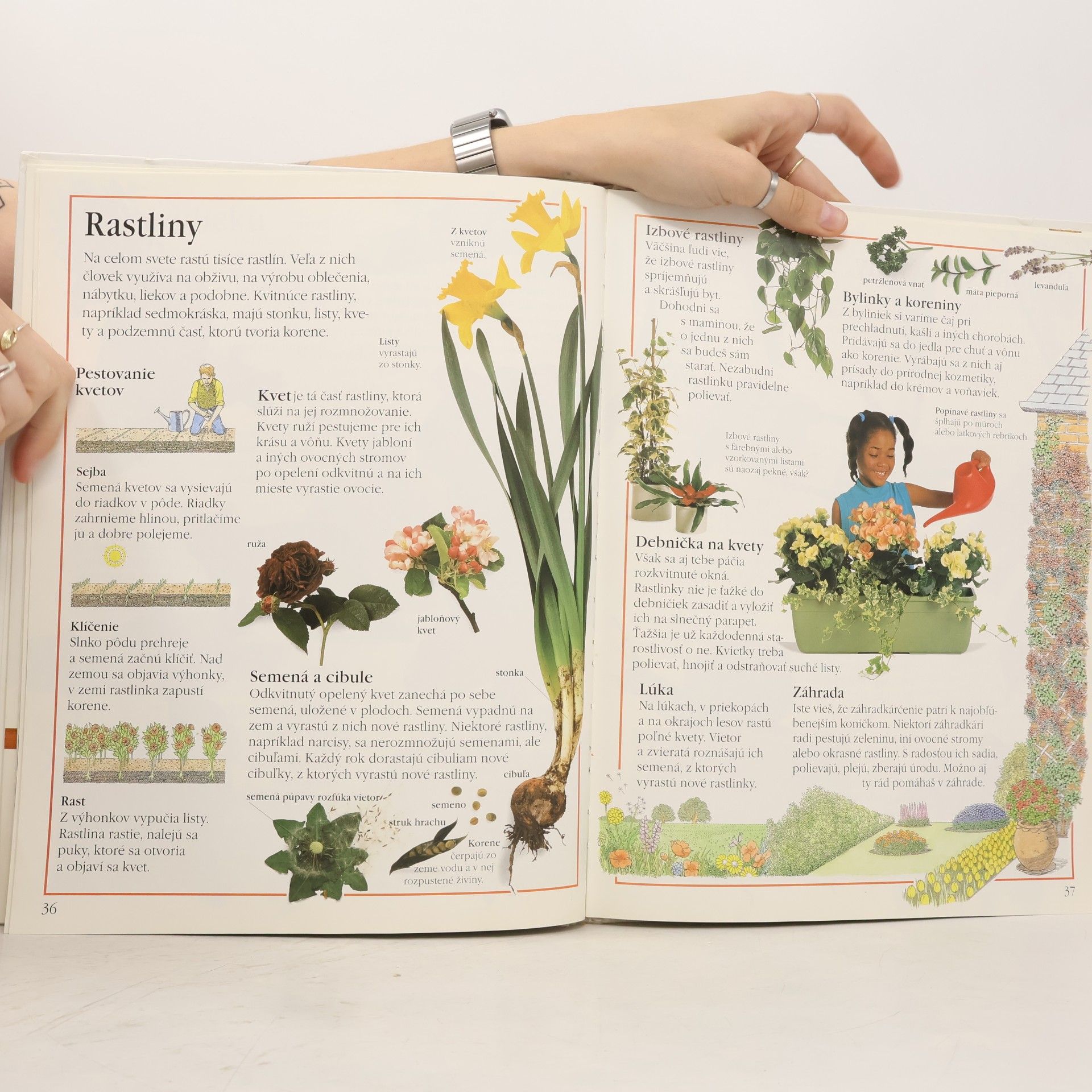 Carol Watson Moja prvá encyklopédia