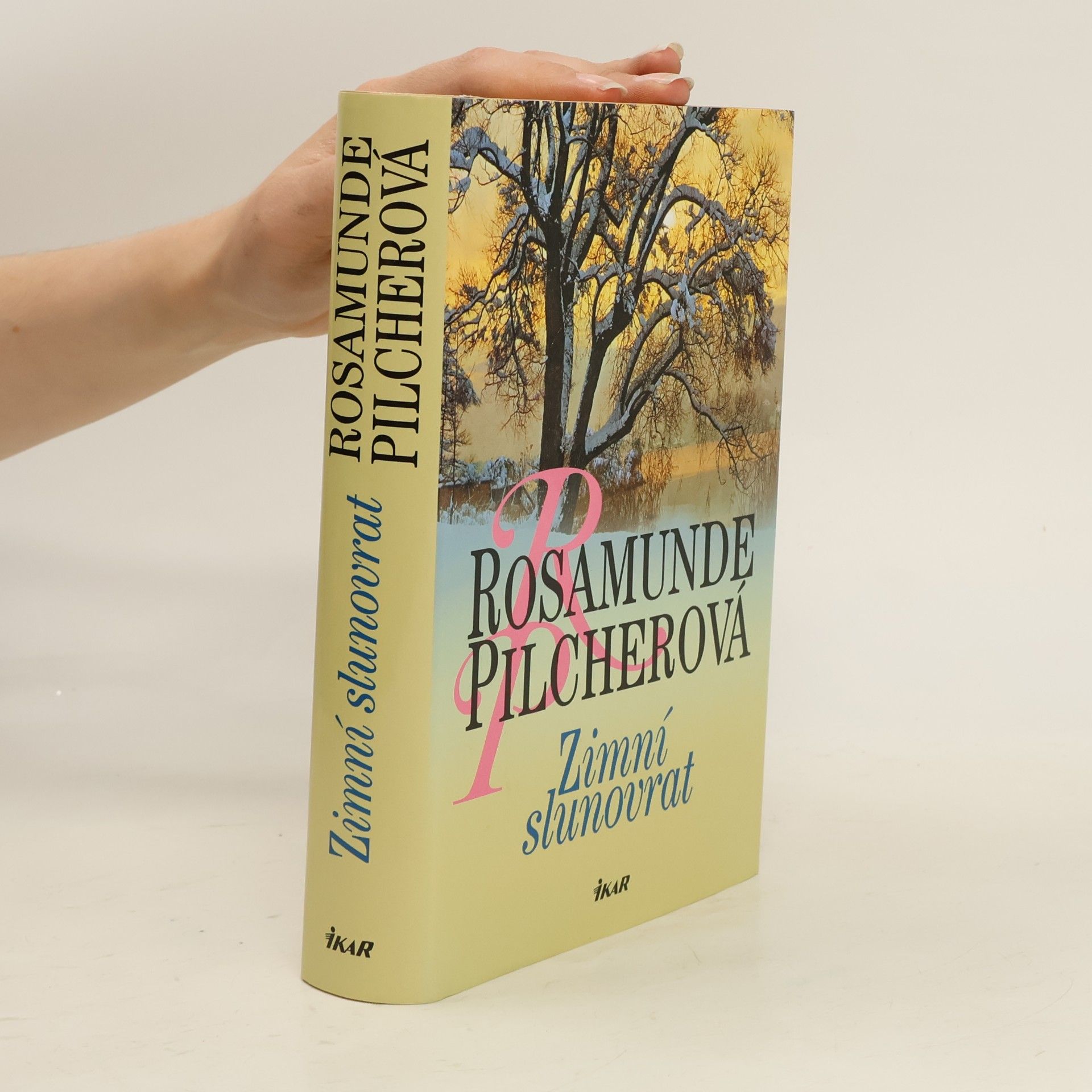 Rosamunde Pilcher Zimní slunovrat