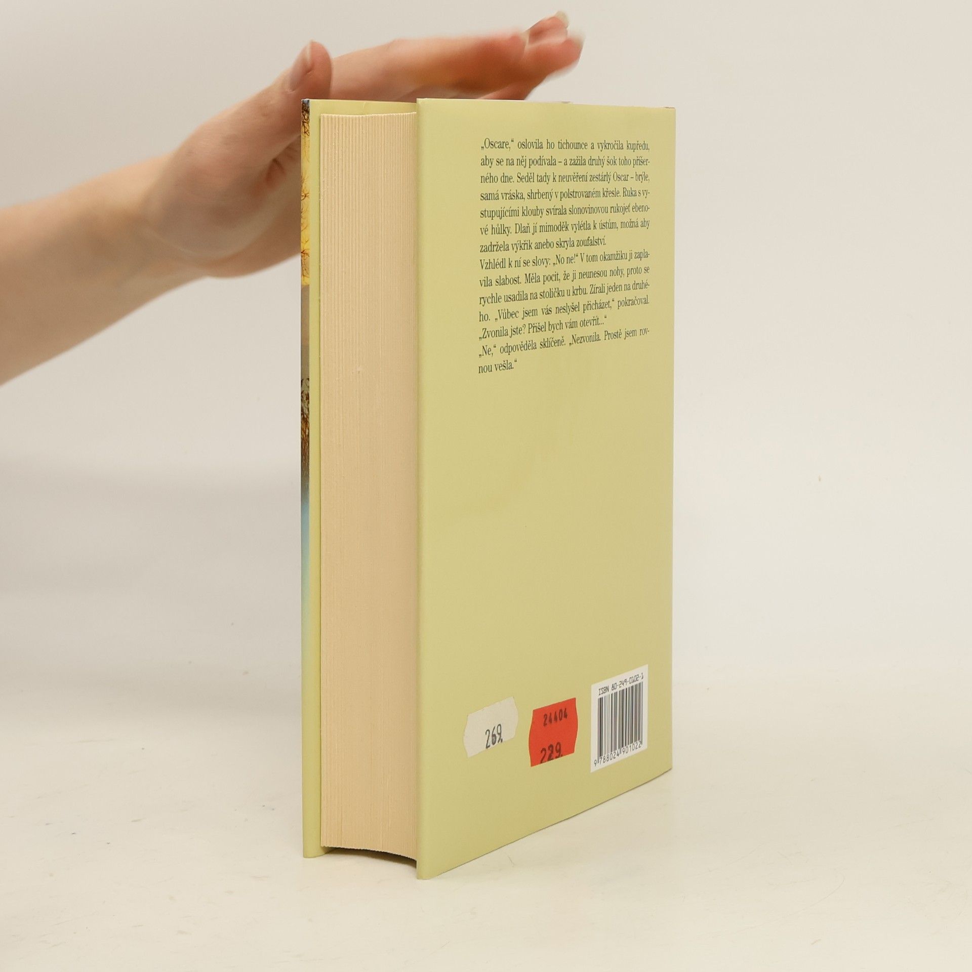 Rosamunde Pilcher Zimní slunovrat