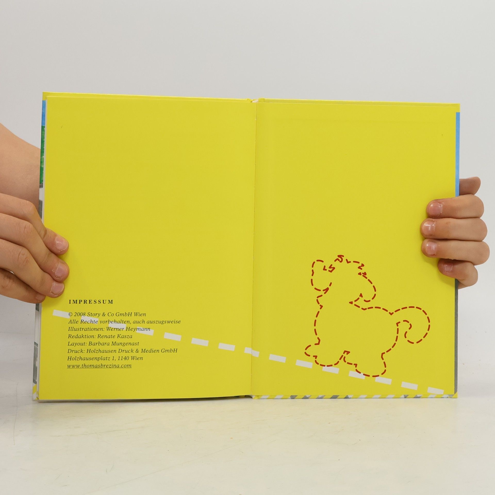 Thomas Brezina Sicher unterwegs mit Flocki Flott: Die bellende Katze