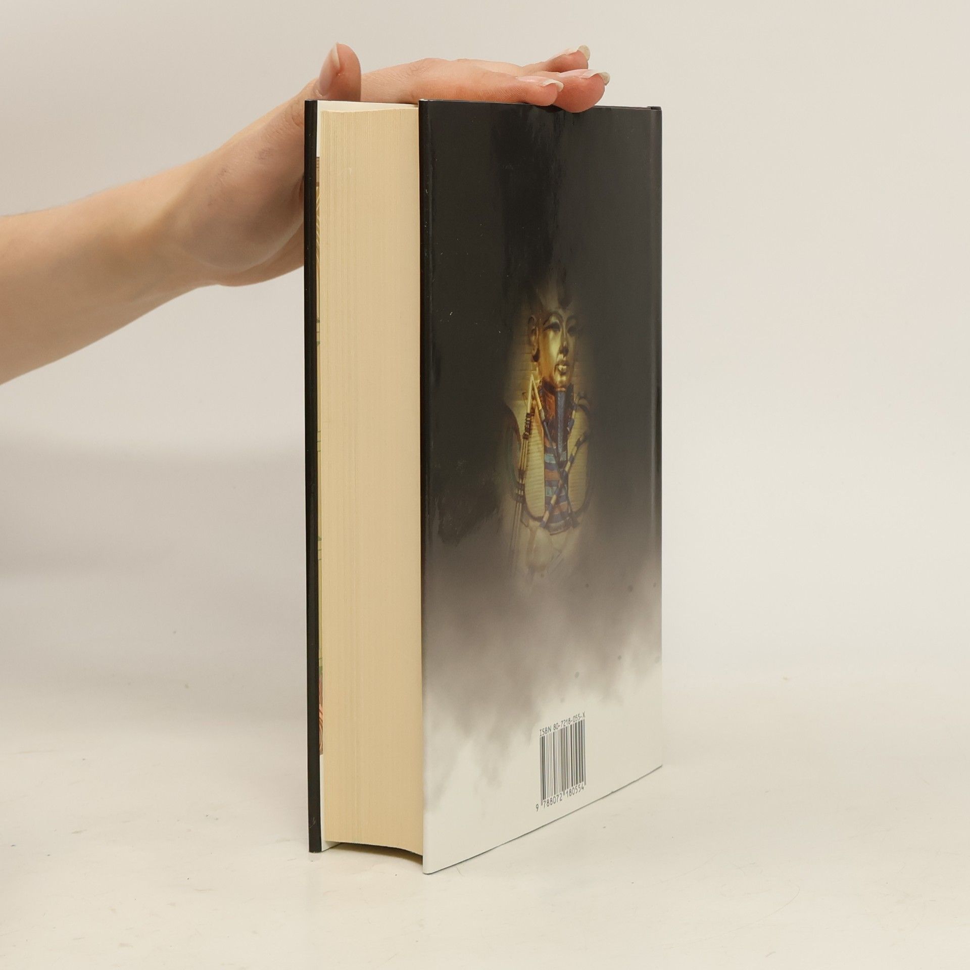 Wilbur Smith Řeka bohů II