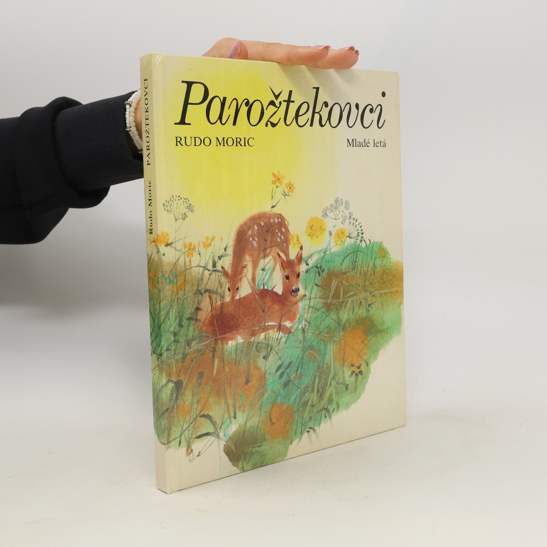 Rudo Moric Parožtekovci