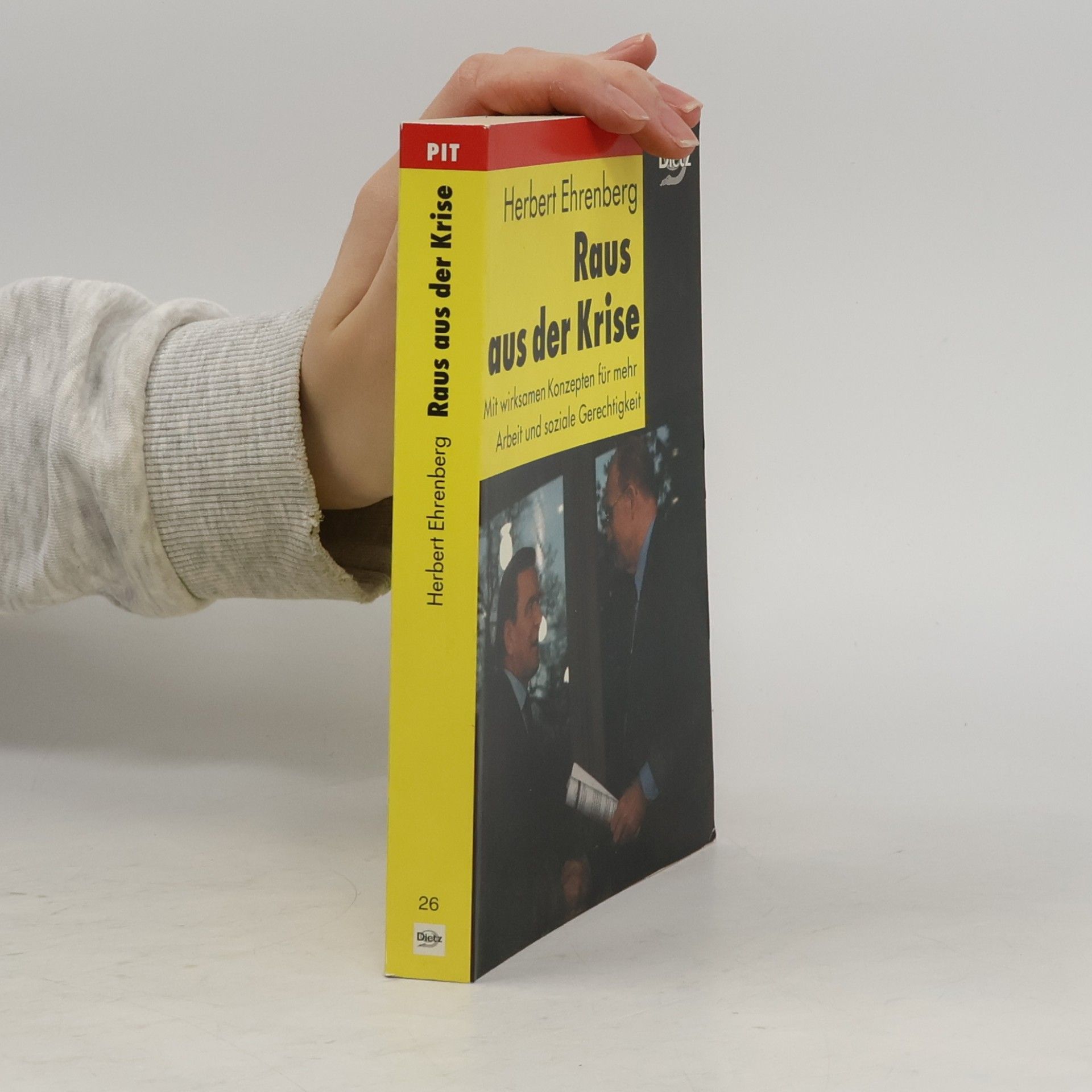 Politik im Taschenbuch - 26: Raus aus der Krise