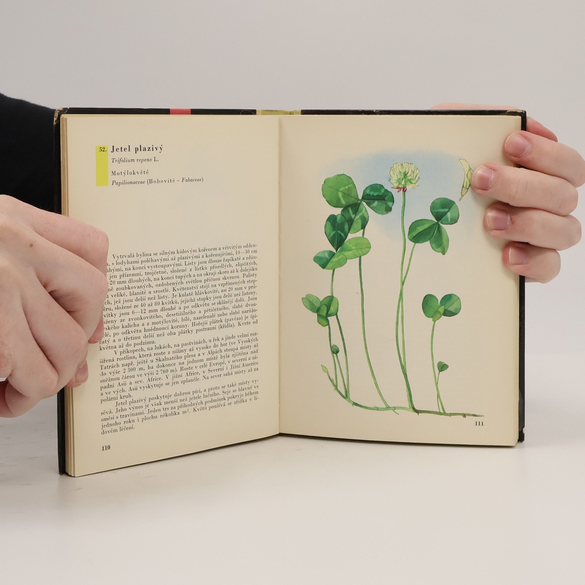 Albert Pilát Kapesní atlas rostlin