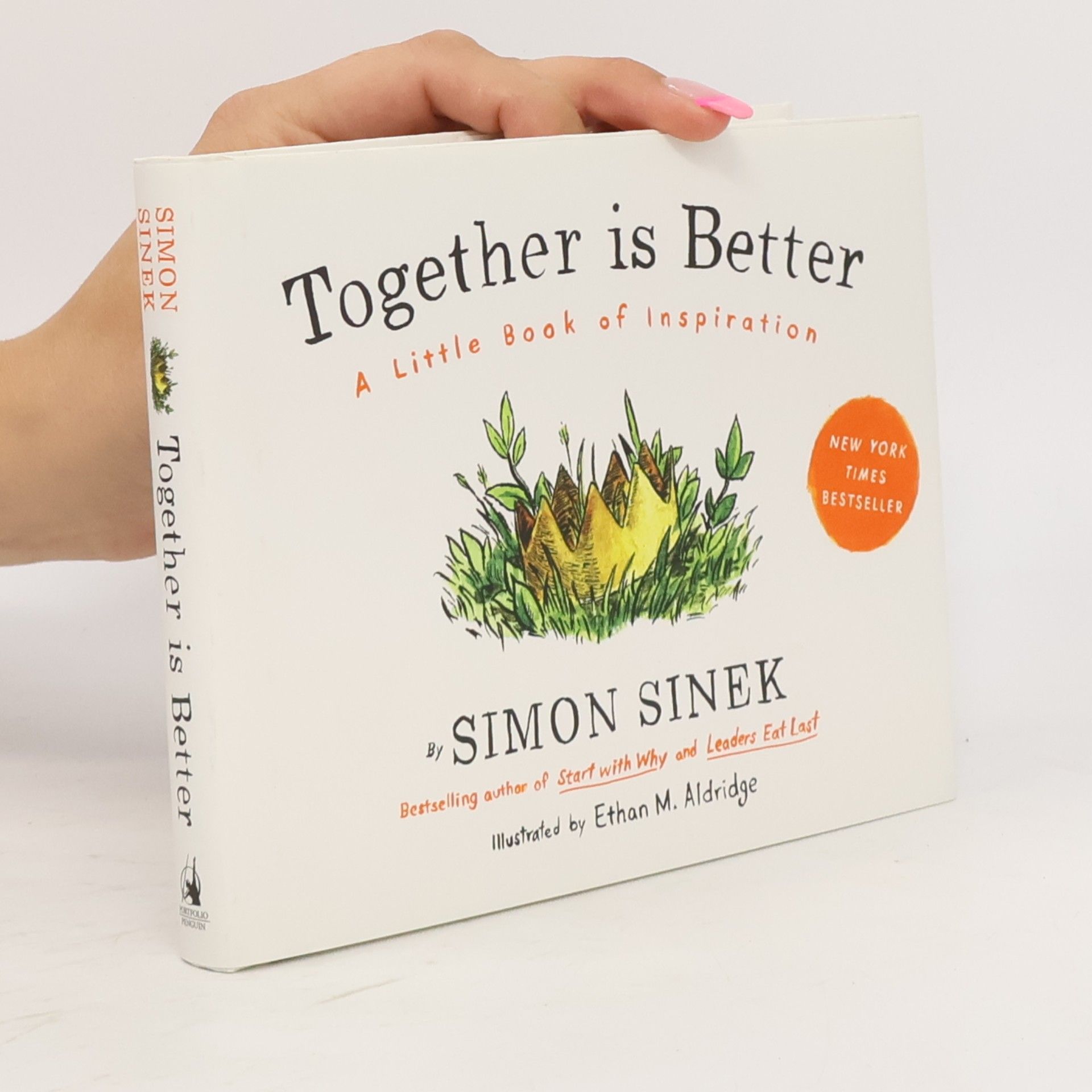 Simon Sinek Together is Better