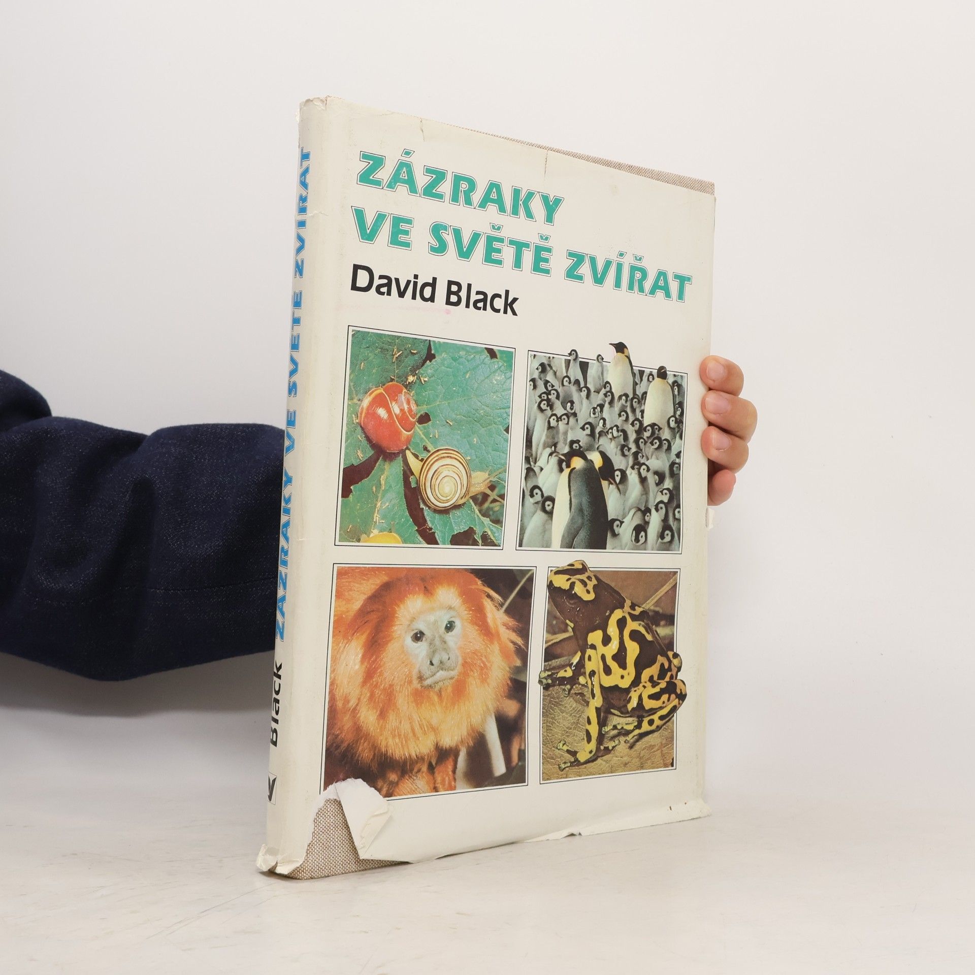 David Black Zázraky ve světě zvířat