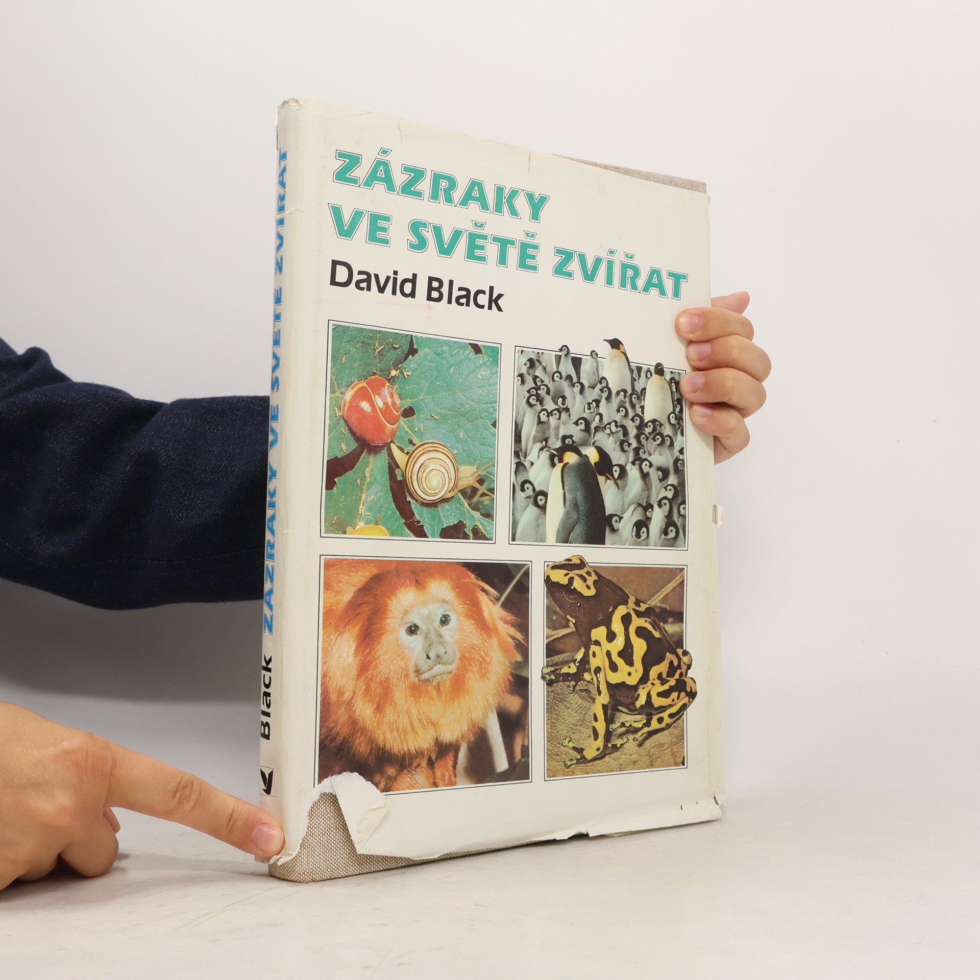 David Black Zázraky ve světě zvířat