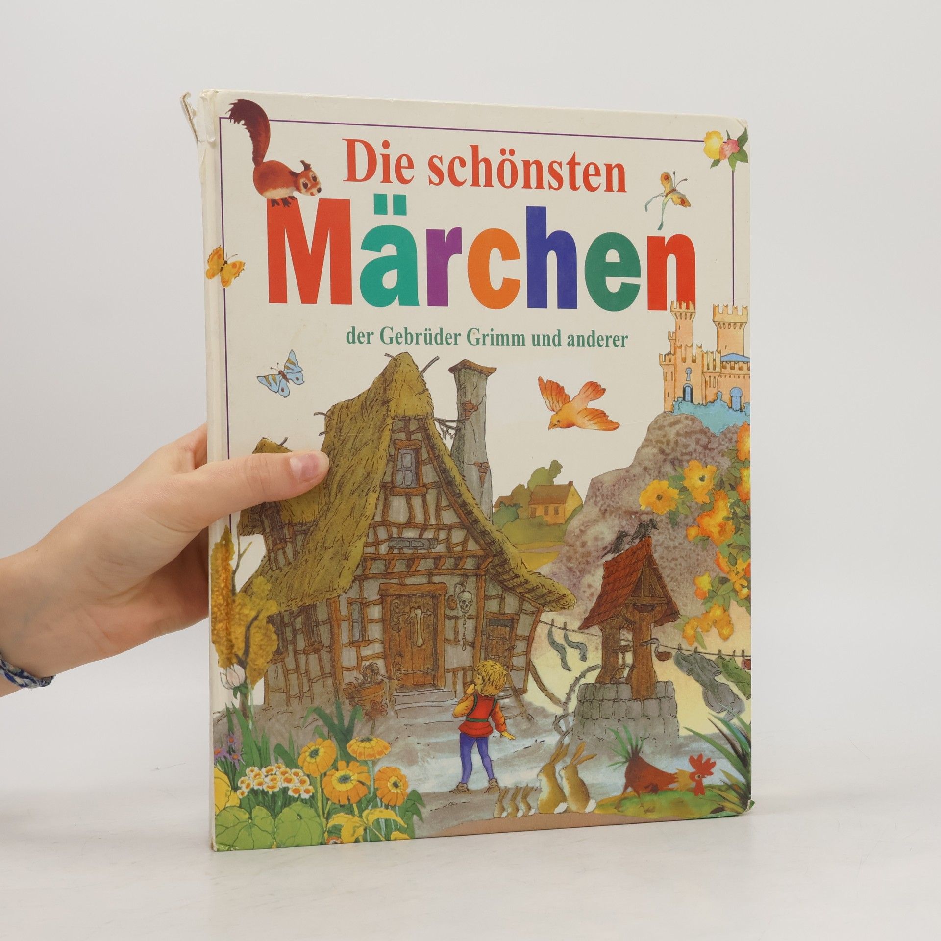 Jacob Grimm Die schönsten Märchen der Gebrüder Grimm und anderer