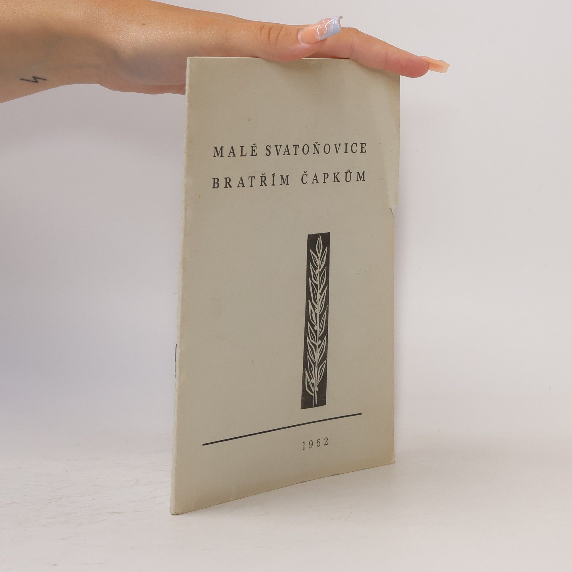 Autorenkollektiv Malé Svatoňovice Bratřím Čapkům