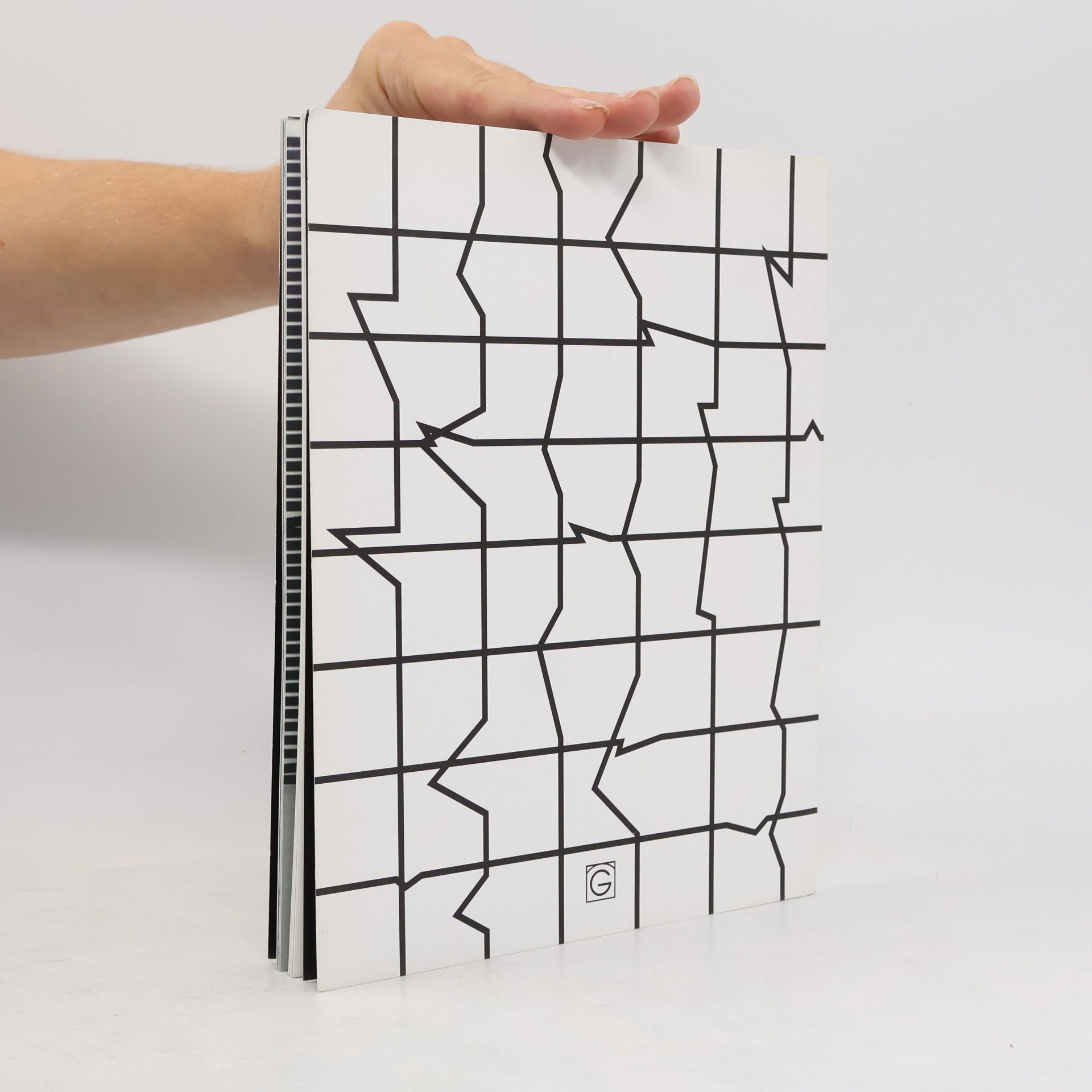 Esther Stocker Esther Stocker. Prostor bez hranic. Unlimited Space