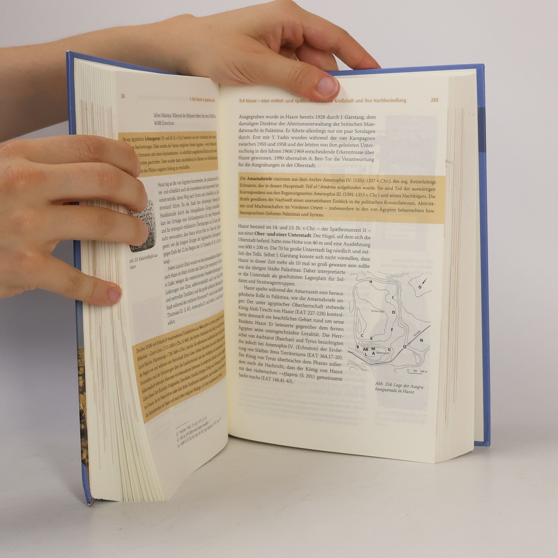 Dieter Vieweger Archäologie der biblischen Welt, m. Foto-DVD