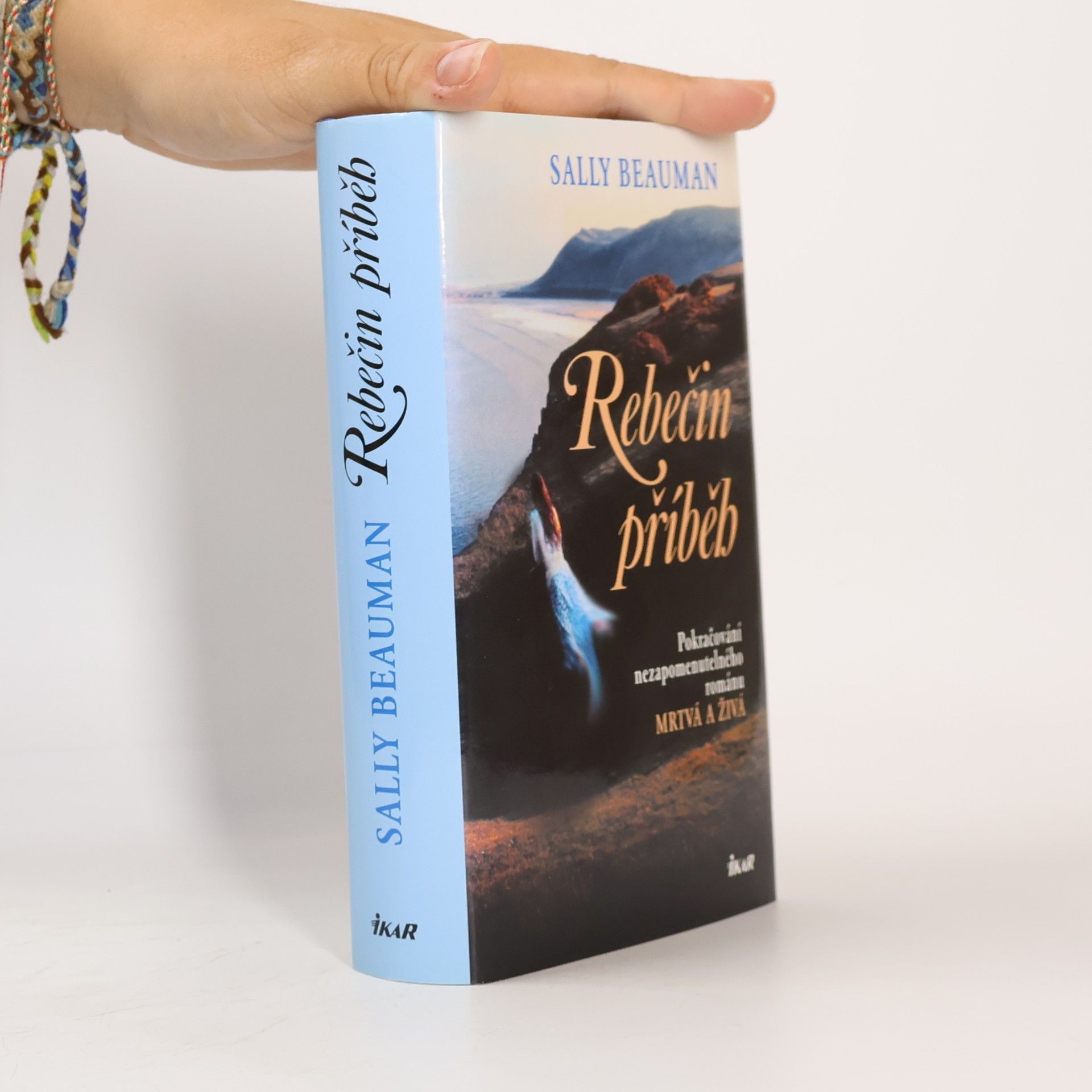 Sally Beauman Rebečin příběh