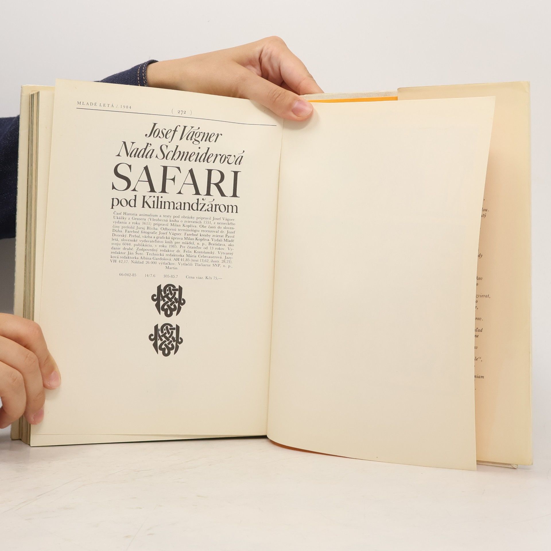 Josef Vágner Safari pod Kilimandžárom