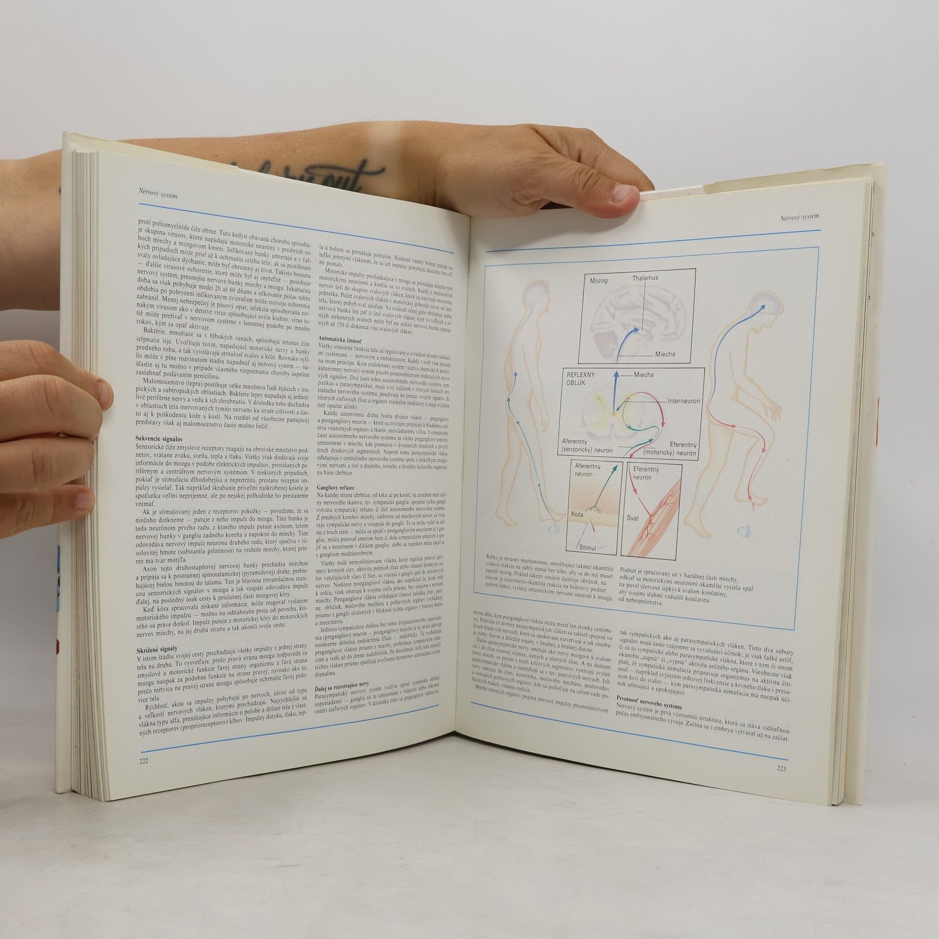 Autores varios Ľudské telo